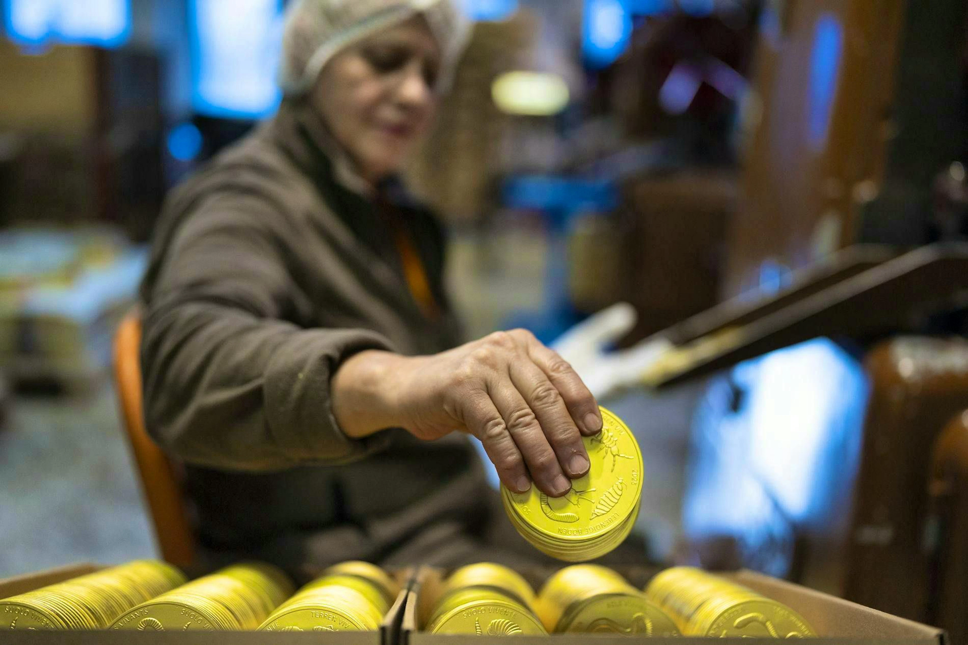 Un dipendente della cioccolateria Aeschbach controlla tutti i Talleri d'oro.