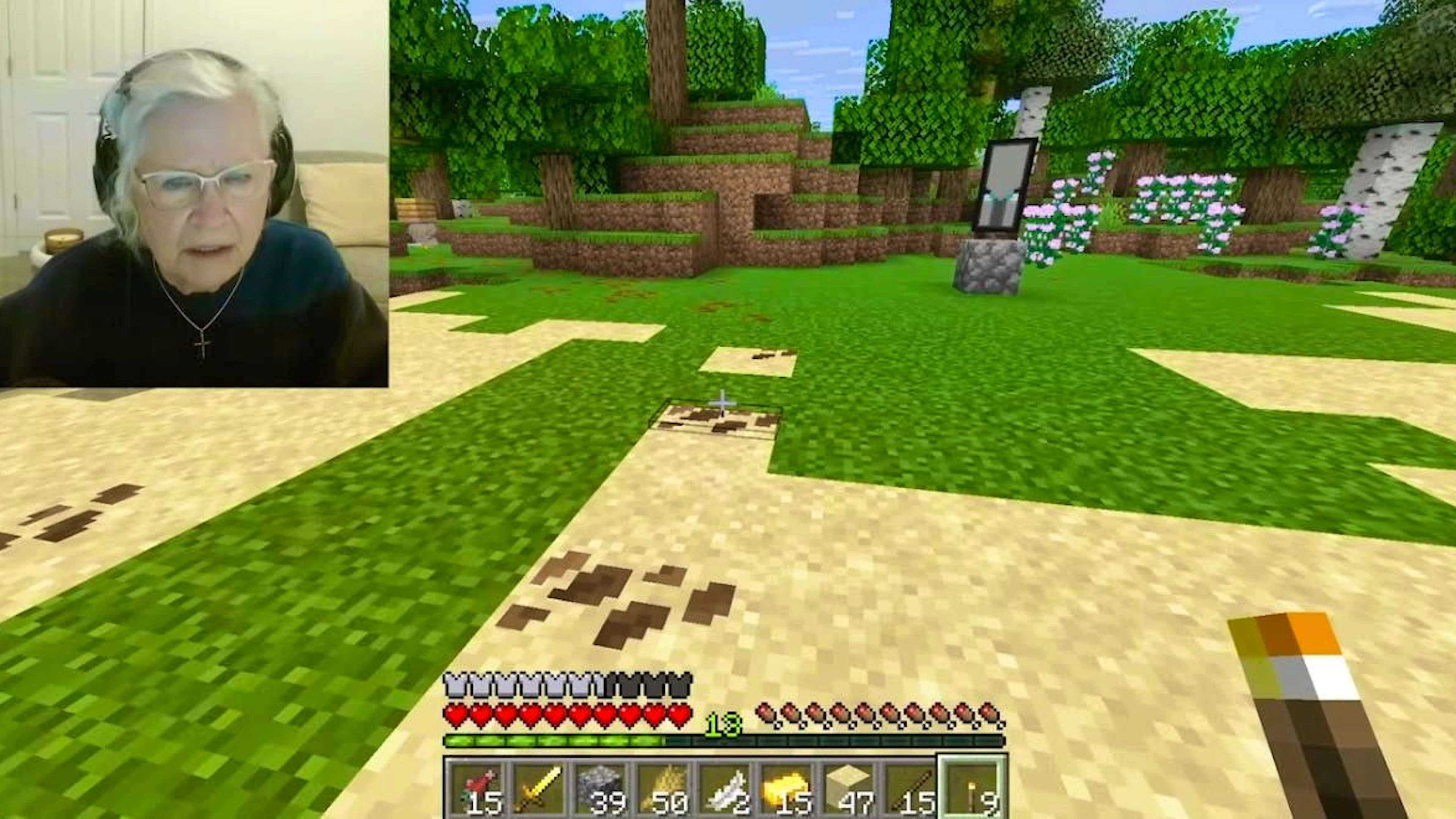 Sue Jacquot plays the computer game Minecraft in streams to raise money for her son's cancer treatment.