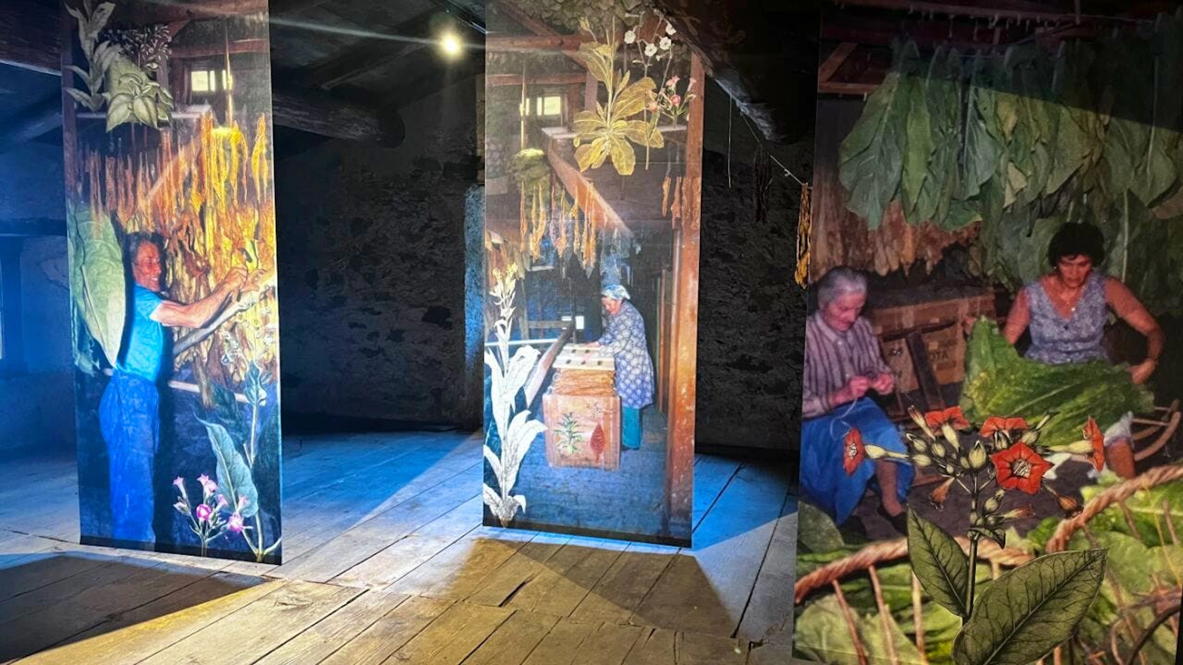 In soffitta venivano appese le foglie di tabacco ad essiccare. Nel museo delle foto ricordano quei tempi.
