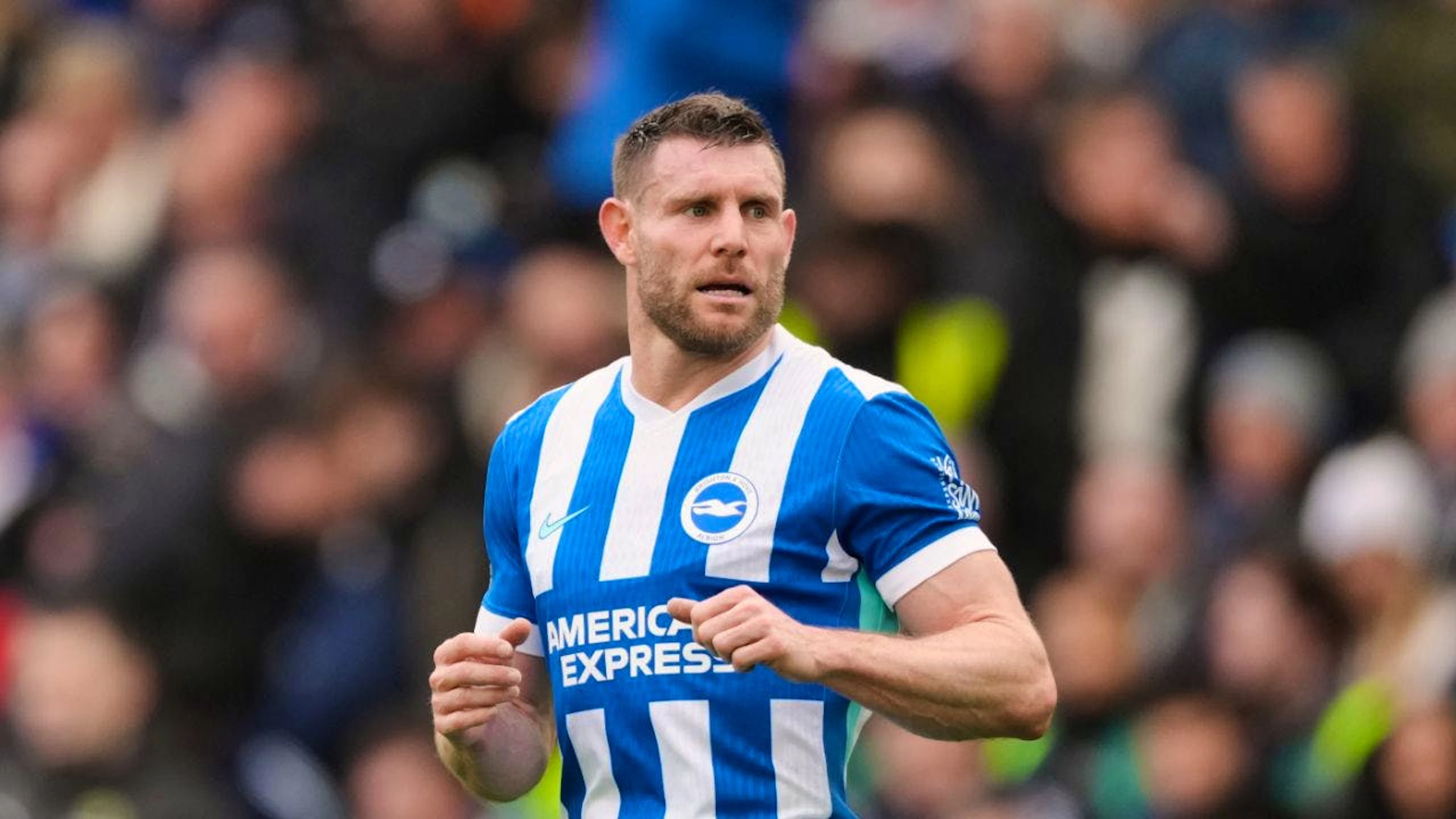 James Milner bestritt in dieser Saison seine 22 letzten Premier-League-Einsätze für Brighton