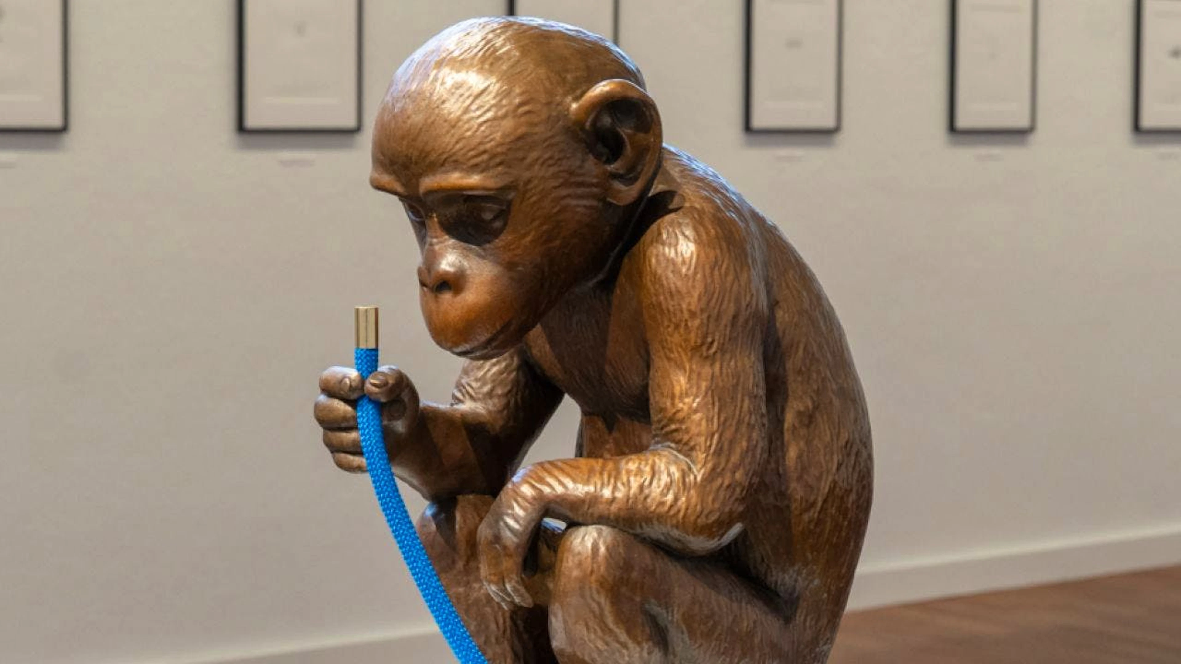 Der Bronze-Affe hält die Spitze eines 300 Meter langen Seils, das hinter ihm auf dem Boden liegt. Diese goldene Spitze markiert die Anwesenheit des Menschen auf der Erde, und das Seil steht für 4,5 Milliarden Jahre Erdgeschichte. Die Installation ist Teil der Ausstellung «Olaf Breuning. Humans».
