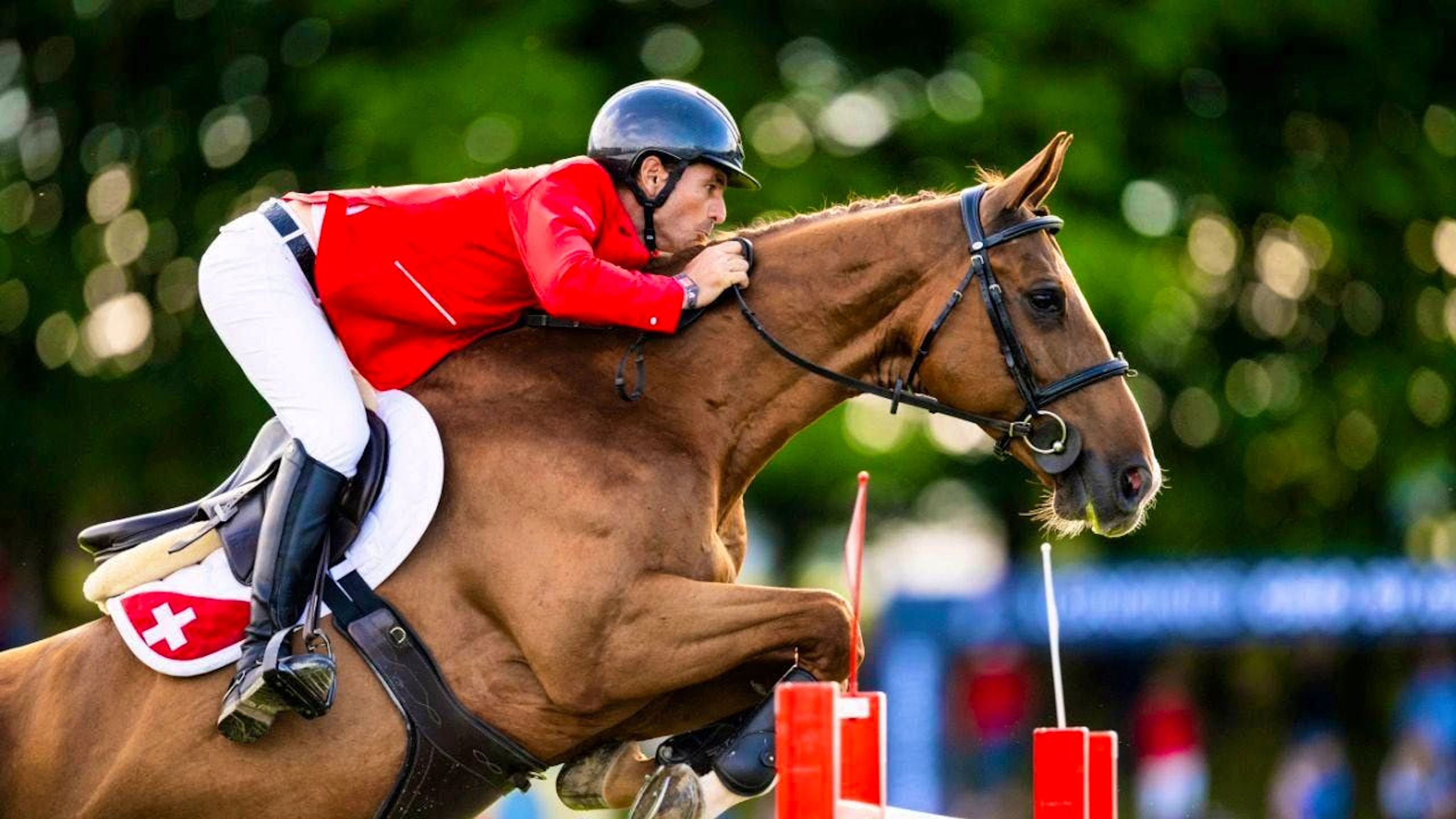 Experienced rider Steve Guerdat on Iashin Sitte
