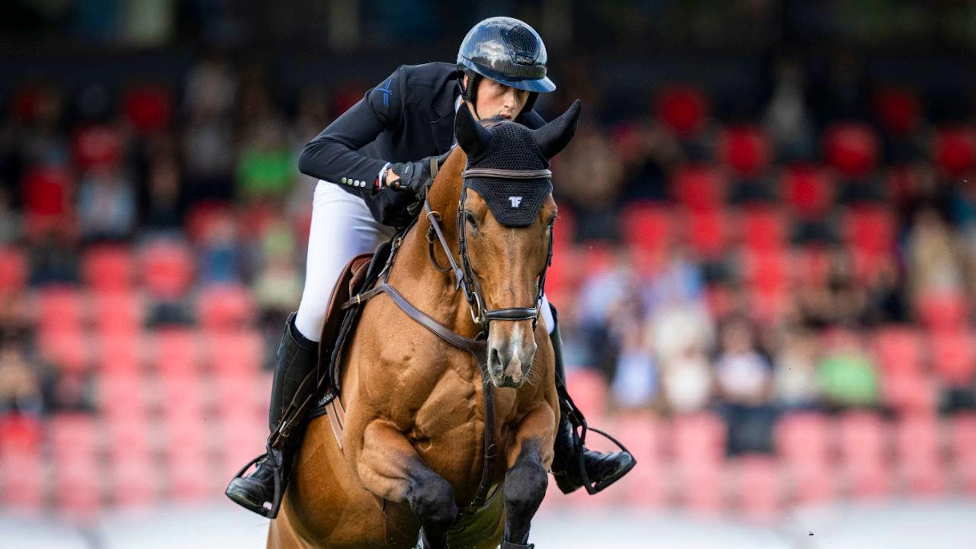 Sehr schnell, aber mit einem Abwurf: Martin Fuchs belegt auf Love de Vie im Jagdspringen in St. Gallen den 7. Platz