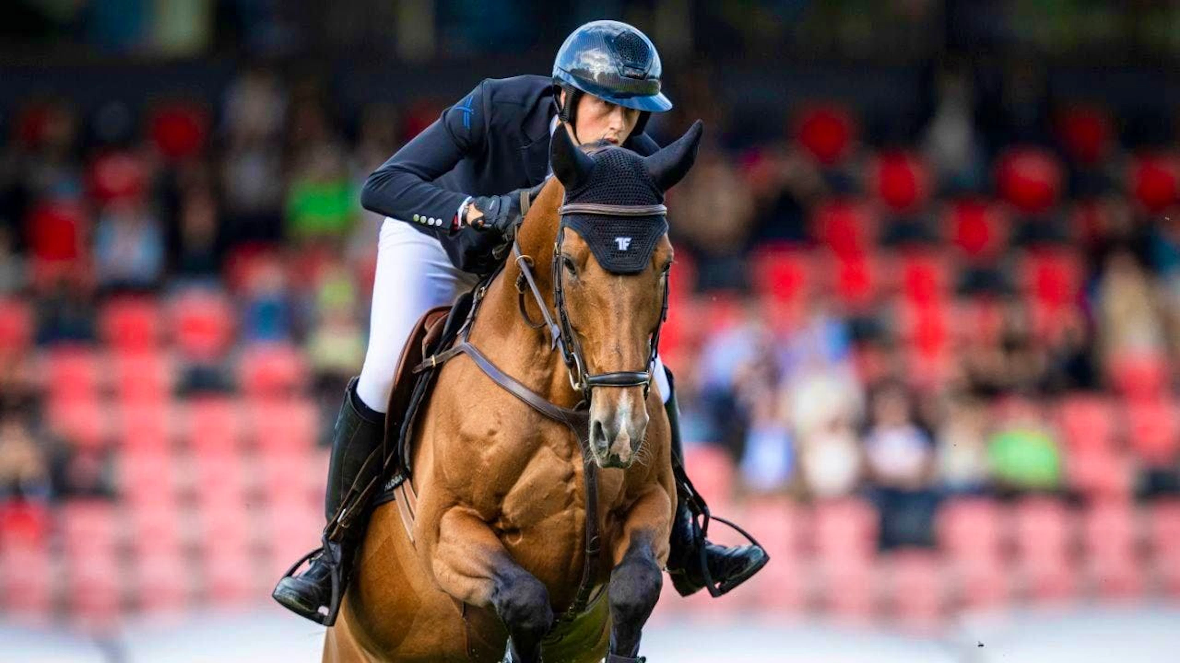 Very fast, but with one knockdown: Martin Fuchs takes 7th place on Love de Vie in the hunter jumping competition in St. Gallen
