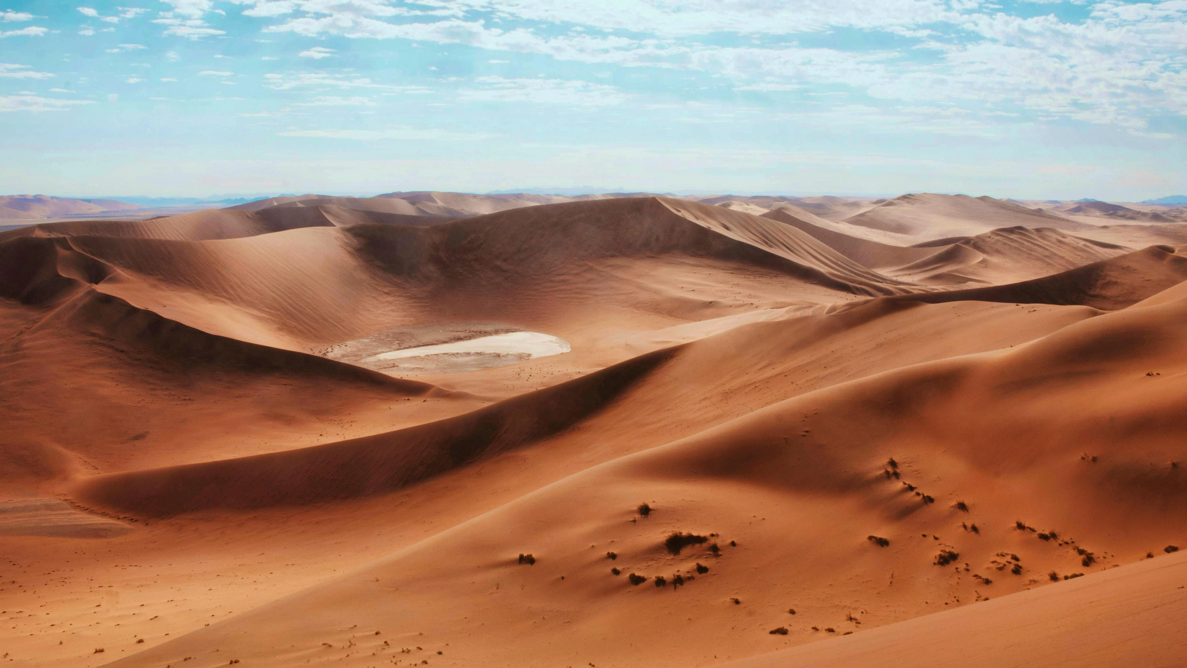 En grimpant la dune "Big Daddy", le désert du Namib s'étend jusqu'à l'horizon.