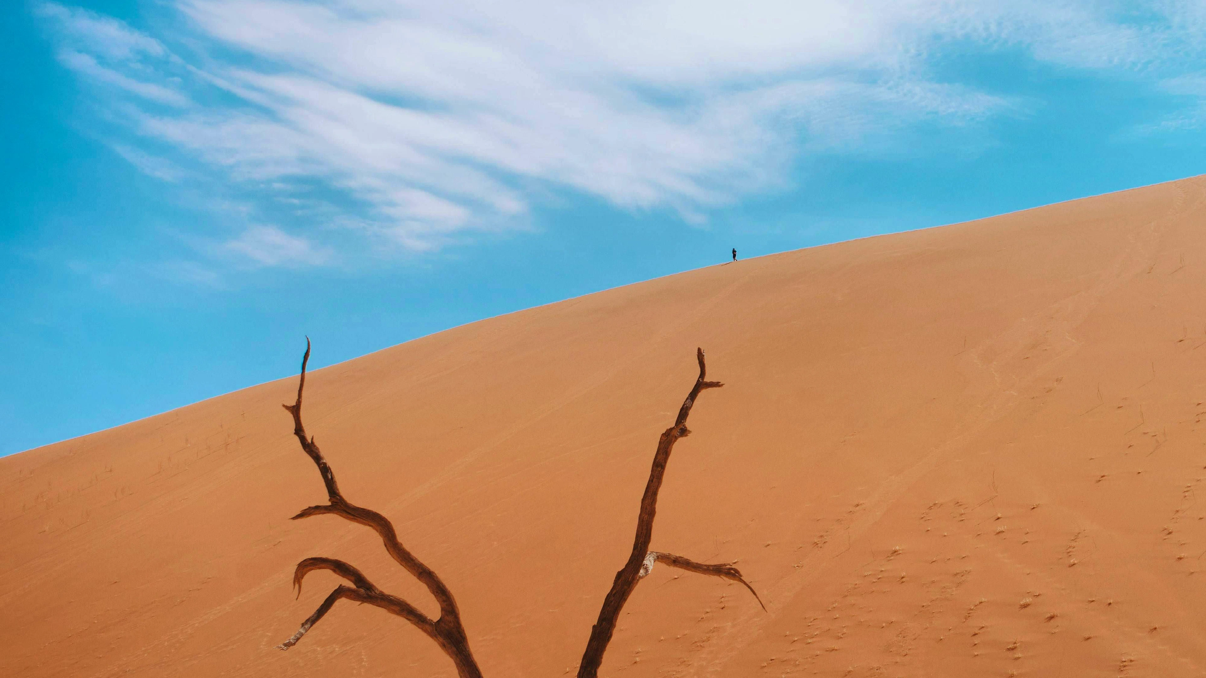 Les arbres desséchés de Deadvlei sont l'attraction touristique la plus connue de Namibie.