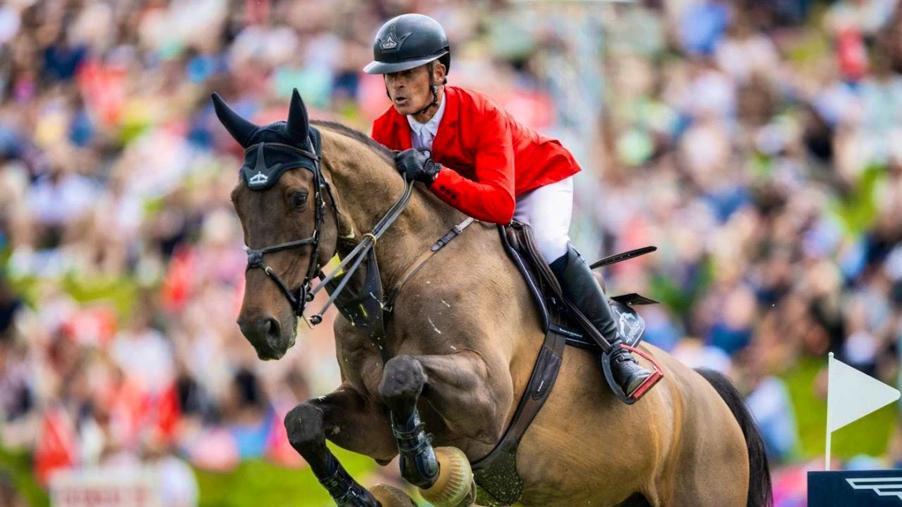 Pius Schwizer in the saddle on Jason is the best Swiss rider in the Gründenmoos on Sunday