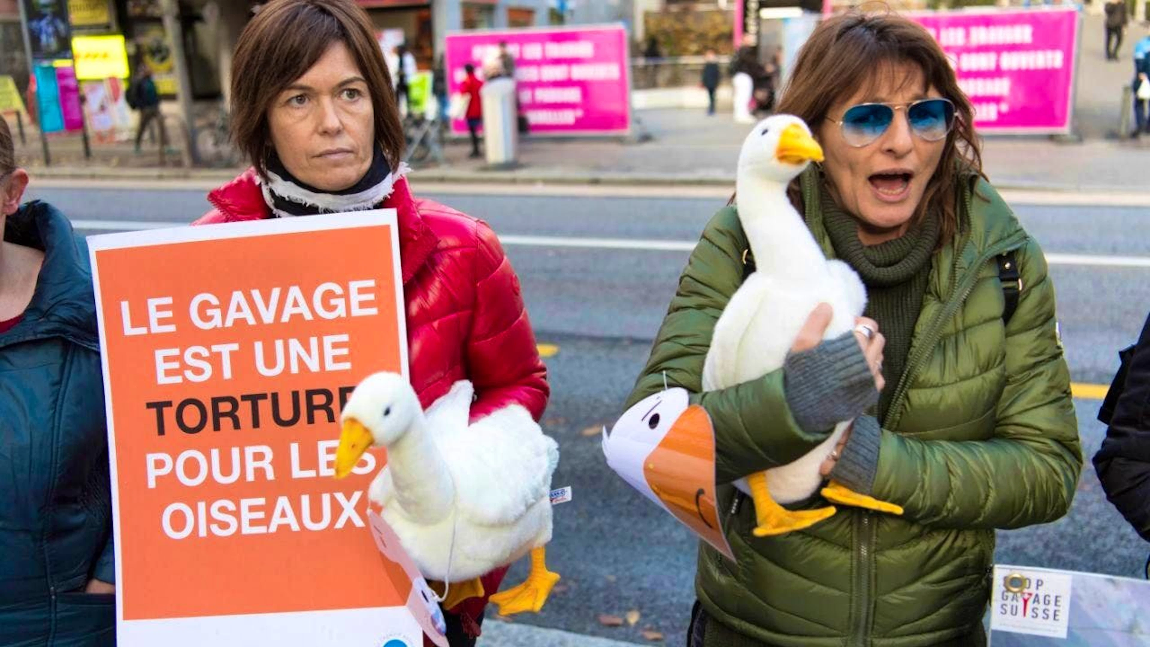 "Force-feeding is torture for birds" is written on the poster of an animal welfare activist at a campaign against foie gras in Lausanne in 2018. (archive image)