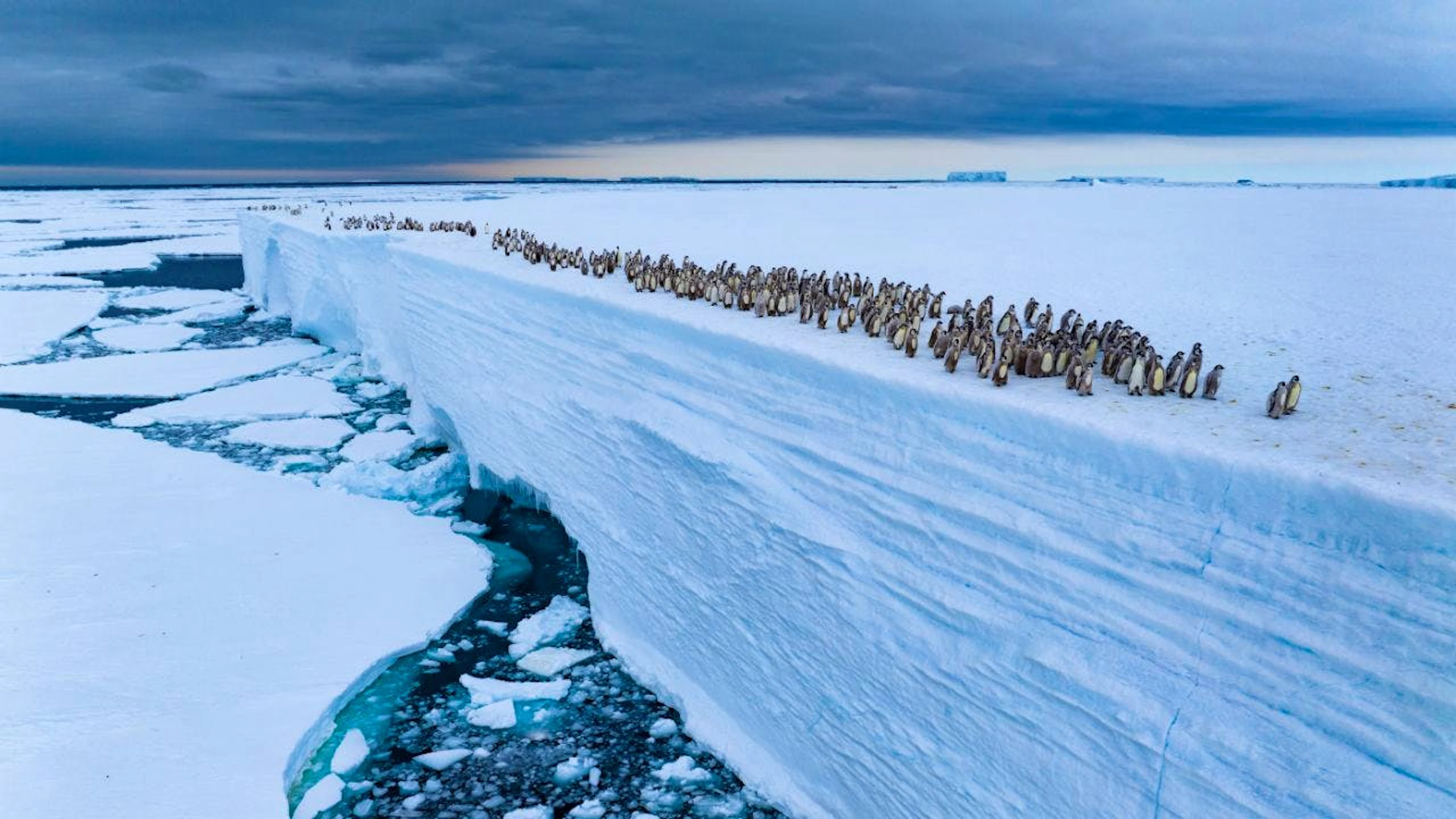 La situation des océans s'aggrave. Face à l'accélération du réchauffement, à la pollution et à la mise en danger de la vie sous-marine, 600 scientifiques issus de 86 pays appellent à l'action urgente (image d'illustration).