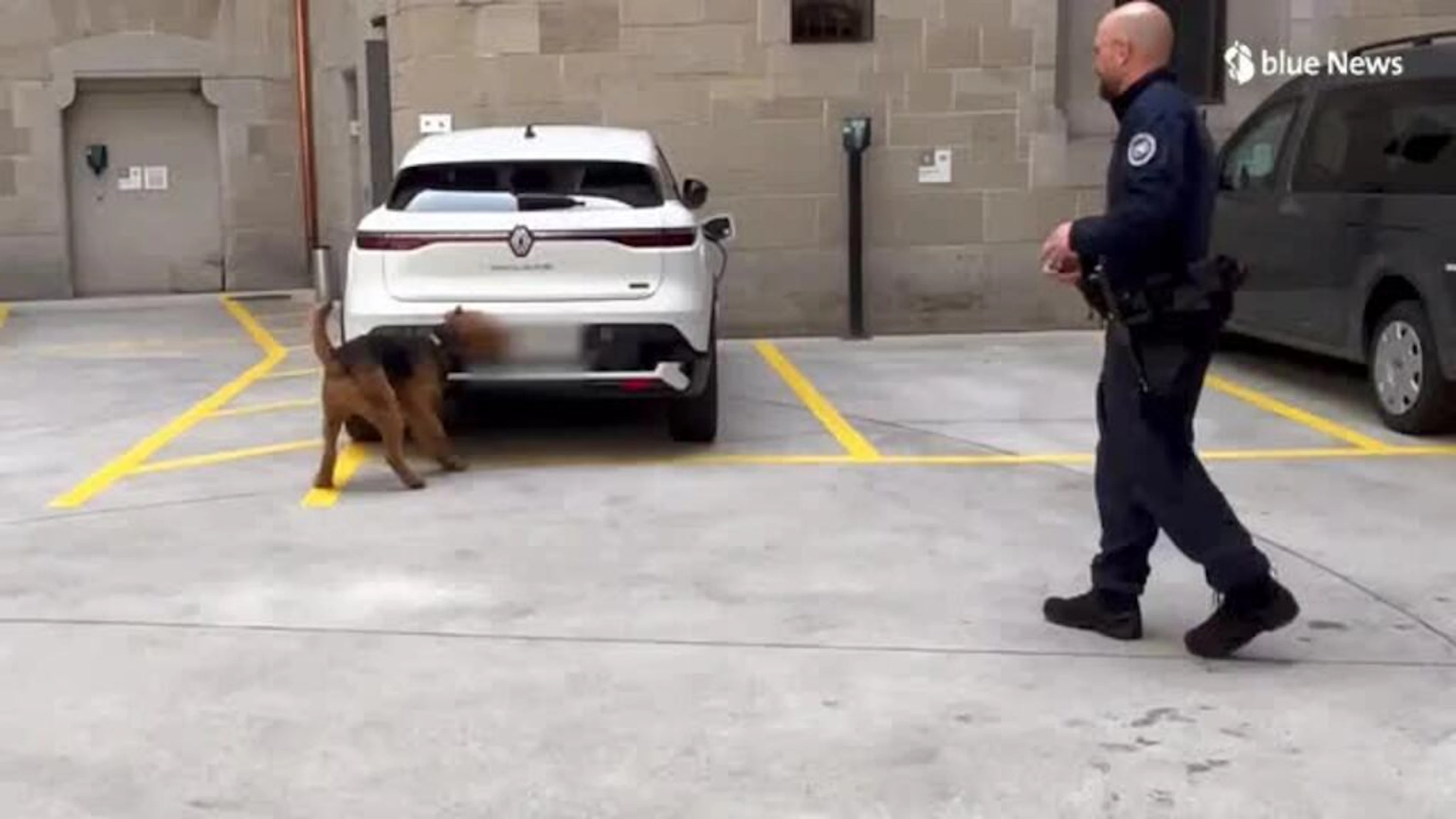 Hund Tarek ist für die Stadtpolizei Zürich im Einsatz