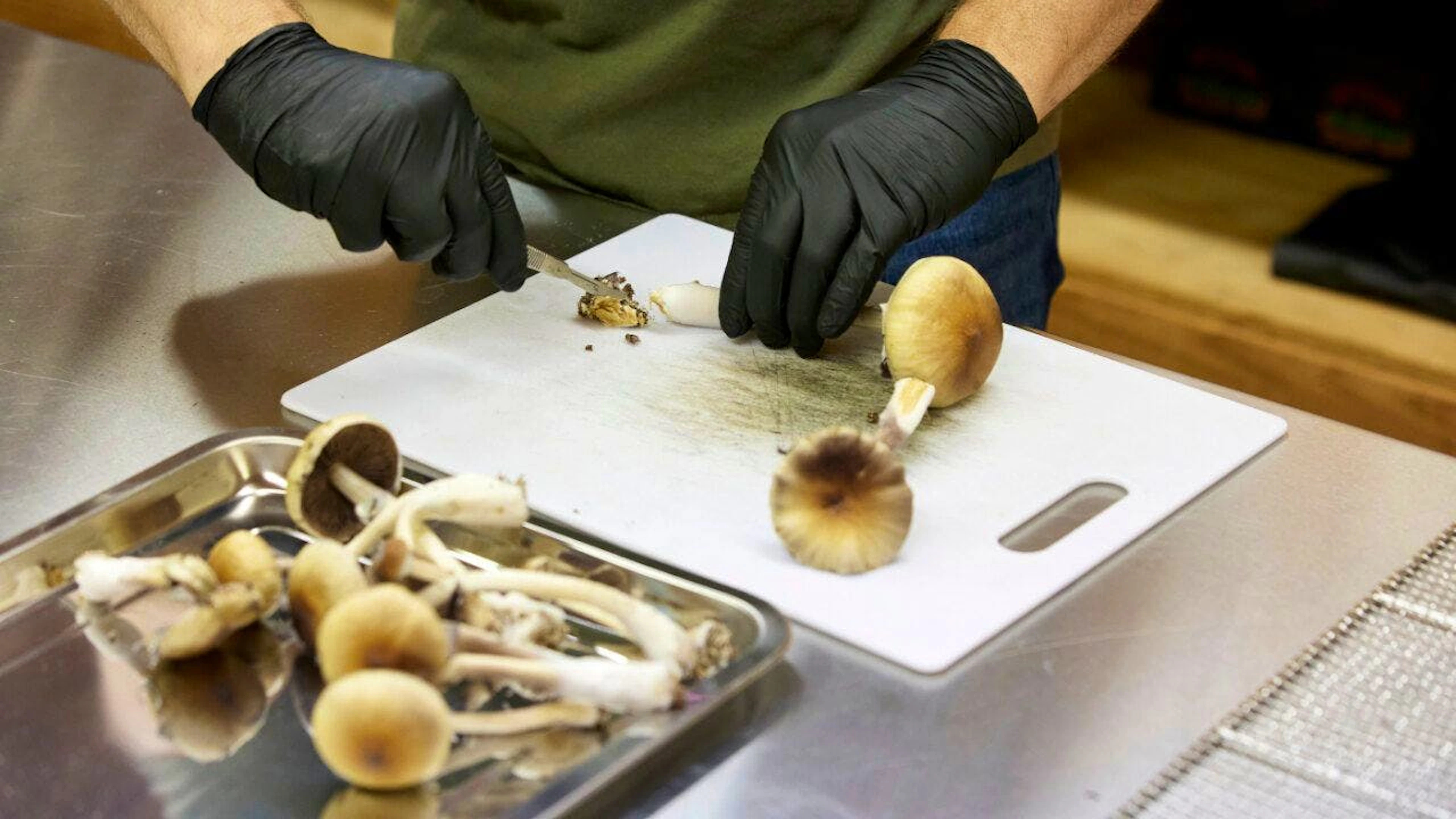La sostanza è contenuta in alcuni funghi