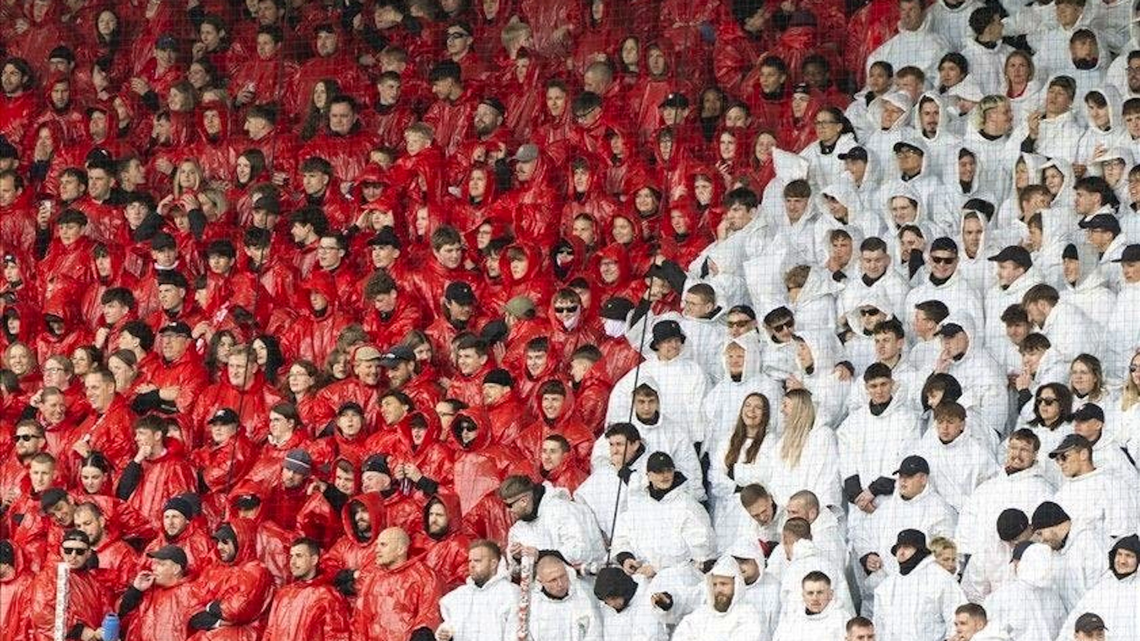 Tifosi