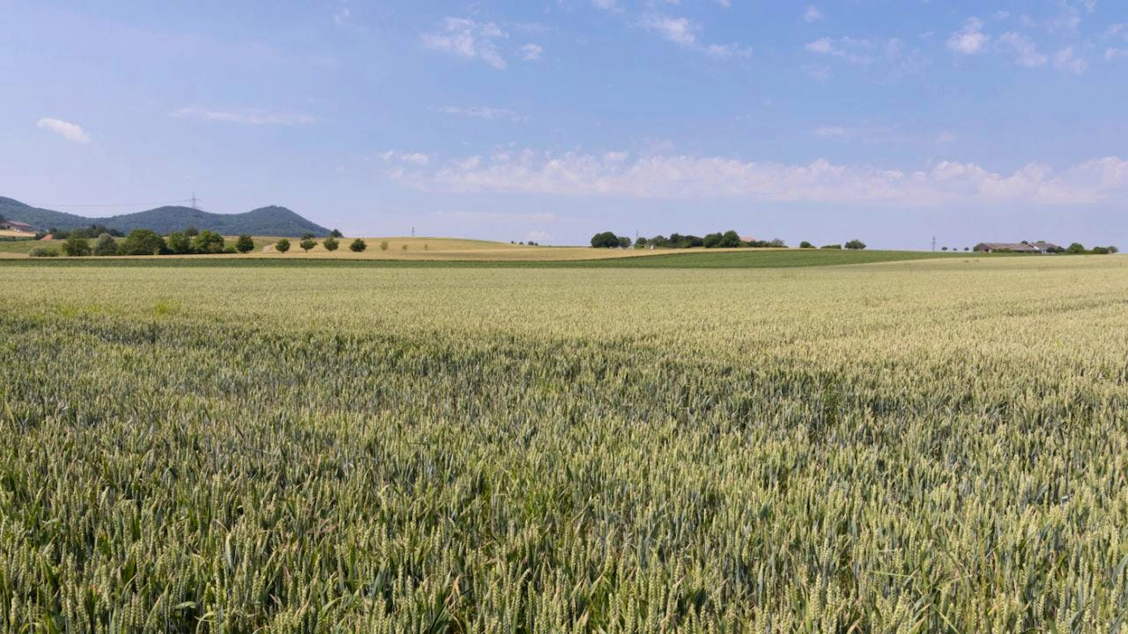 In molti contesti la sostenibilità è diventata la norma.