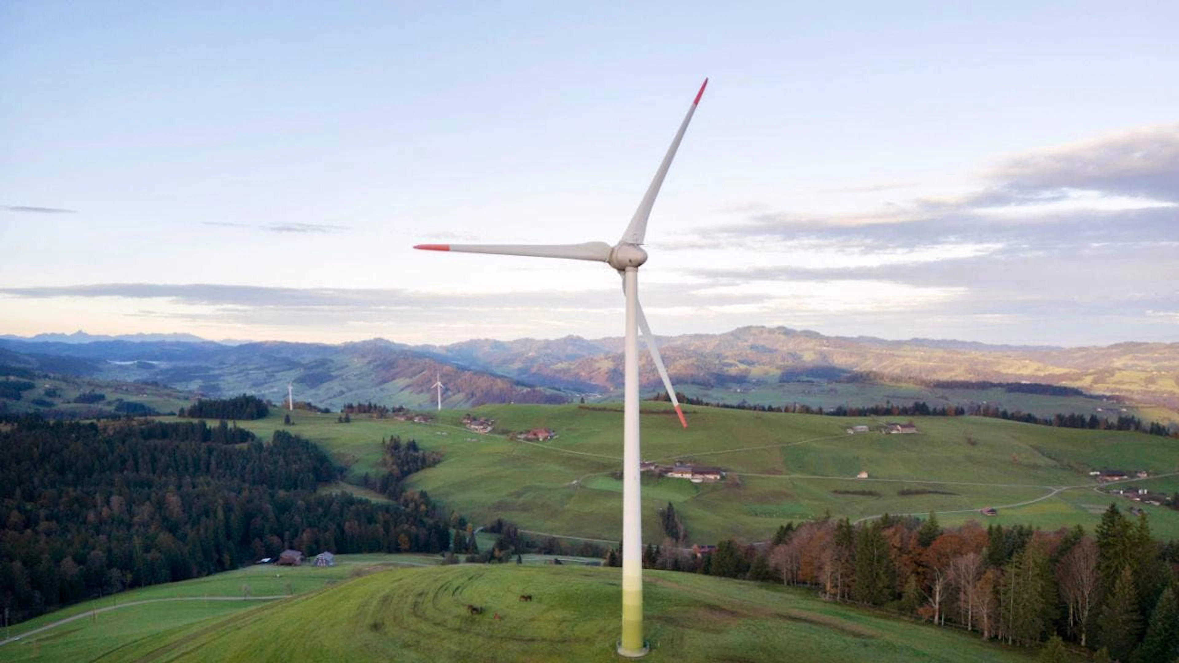 Ein Forschungsteam zeigt, dass bei Windrädern ein Mini-Stromverlust Millionen von Vögeln retten könnte. (Symbolbild)