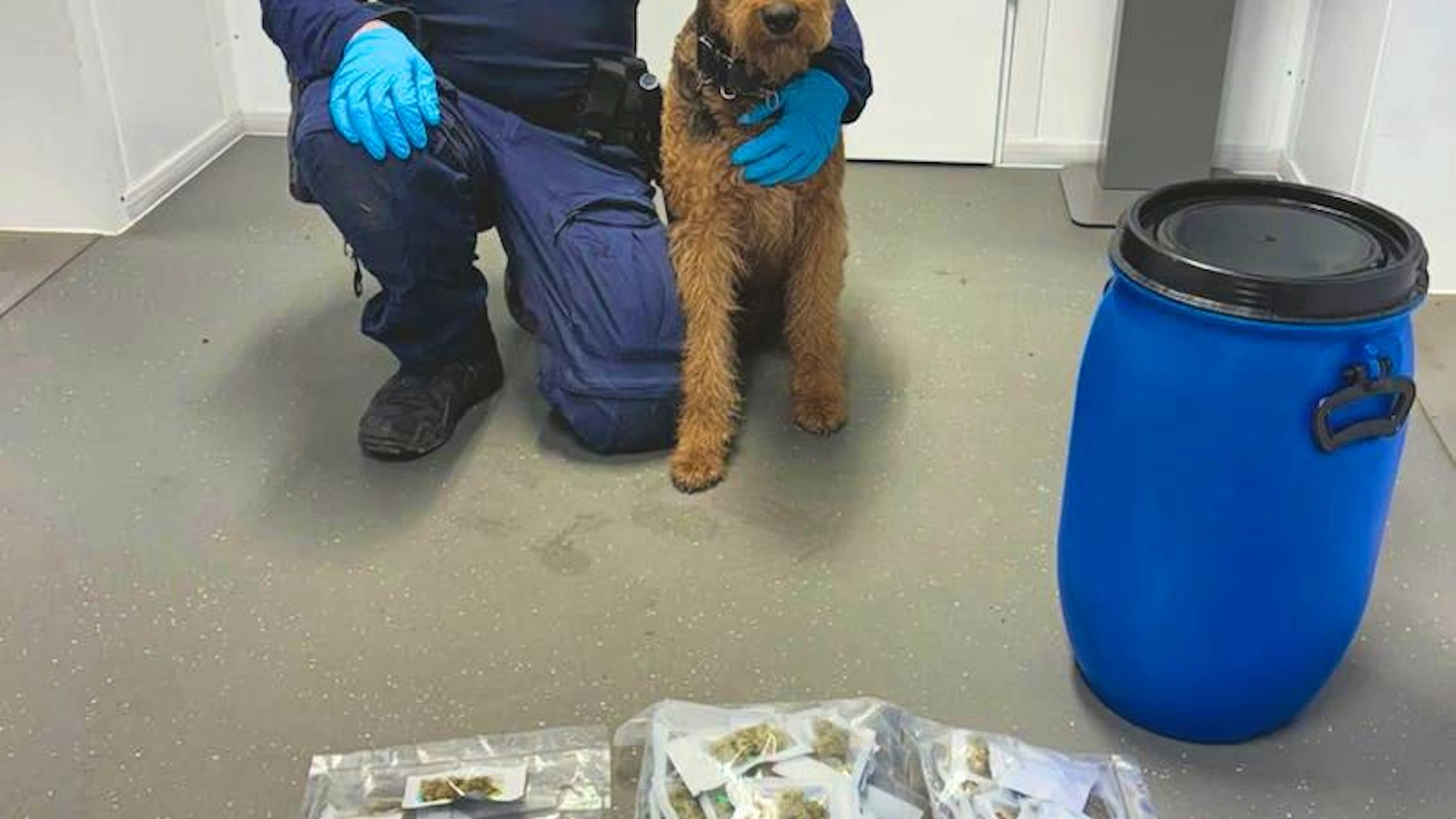 Police dog handler Fabio Gandolfi of the Zurich City Police with Tarek—the sniffer dog for all occasions. 
