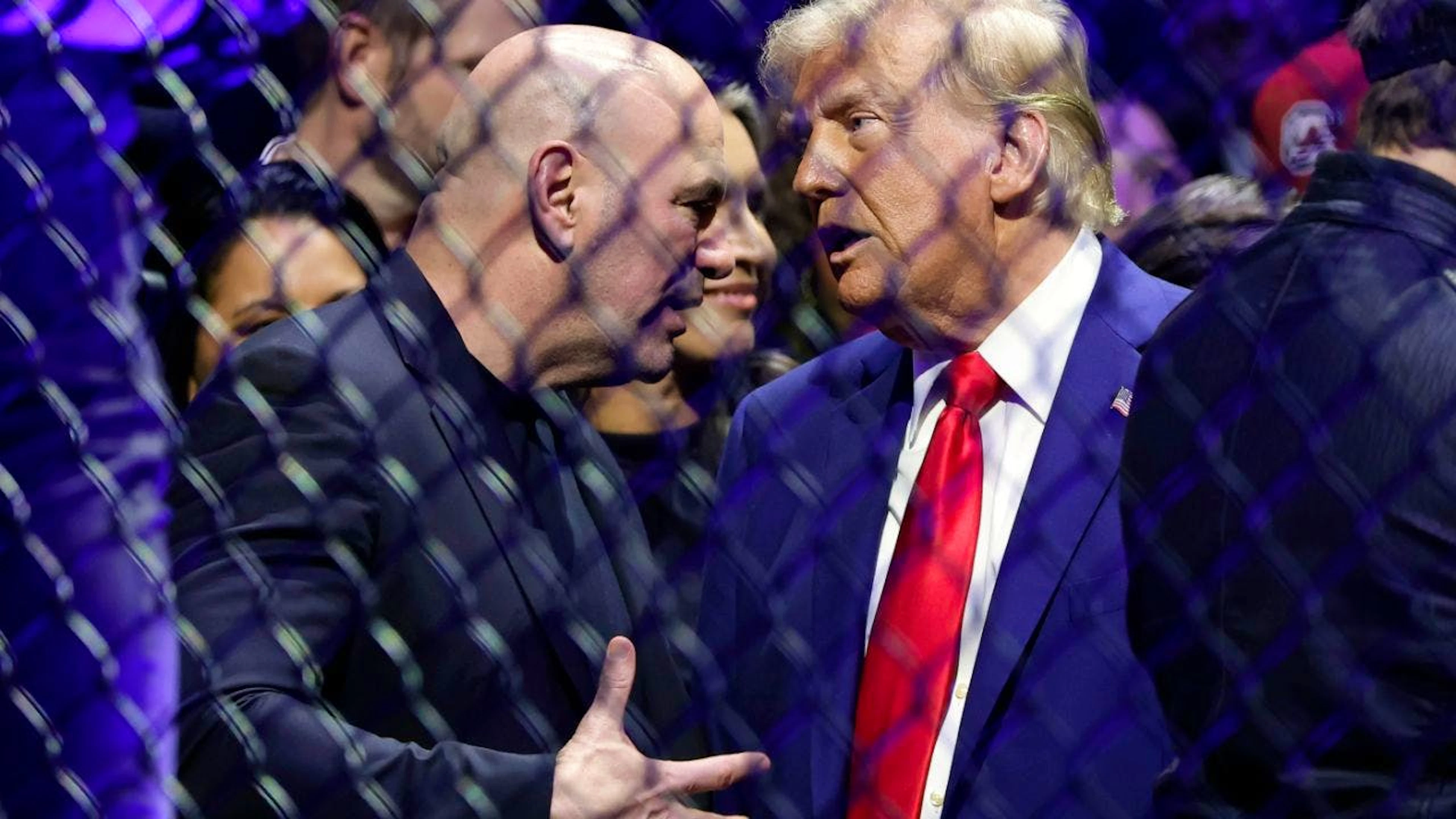 ARCHIV – Der designierte US-Präsident Donald Trump spricht mit dem CEO der UFC, Dana White, bei der UFC 309 Mixed Martial Arts Veranstaltung. Foto: Adam Hunger/AP/dpa