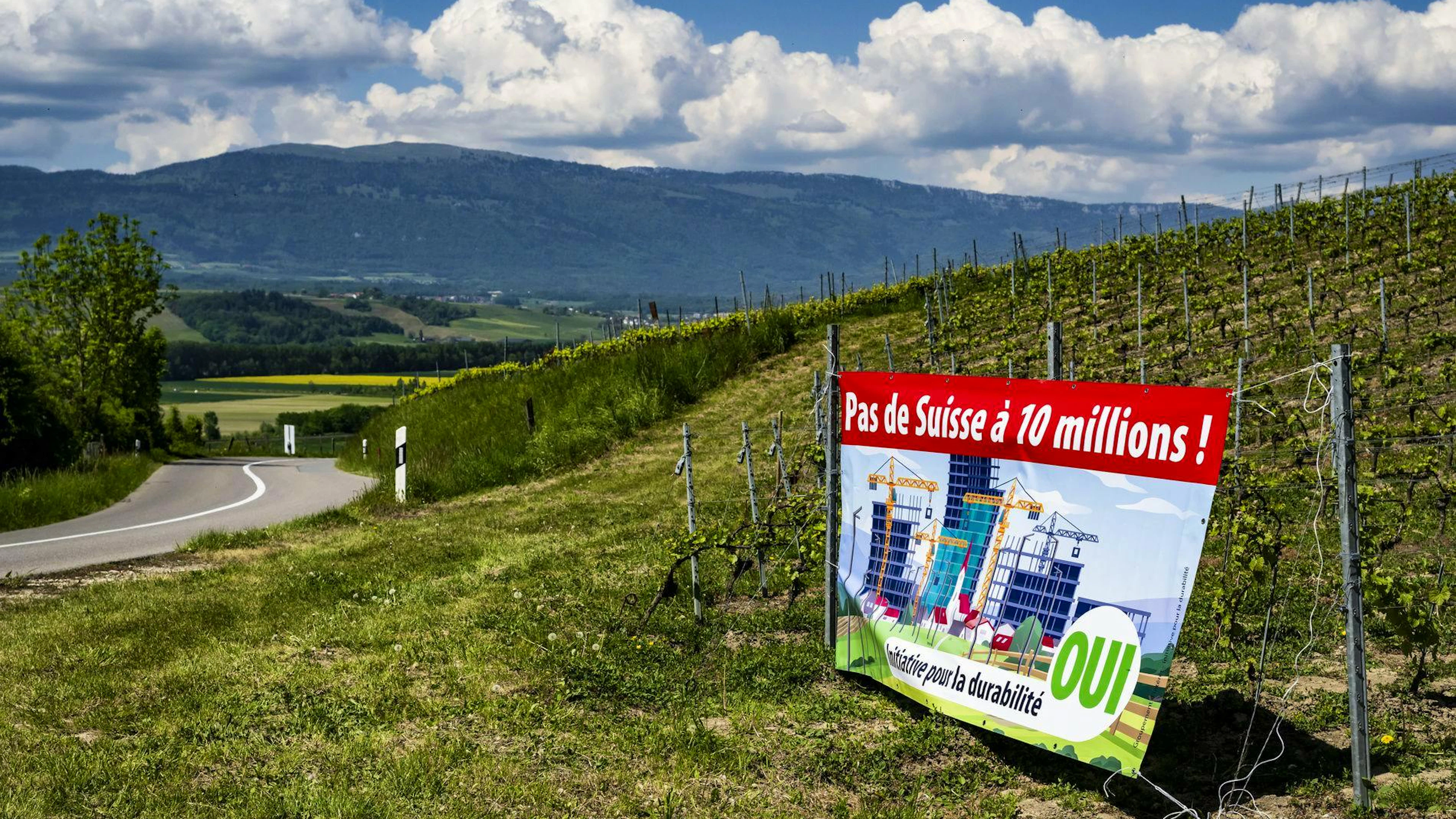 Le résultat du scrutin ne sera connu que dimanche, dans l’après-midi (image d’illustration).