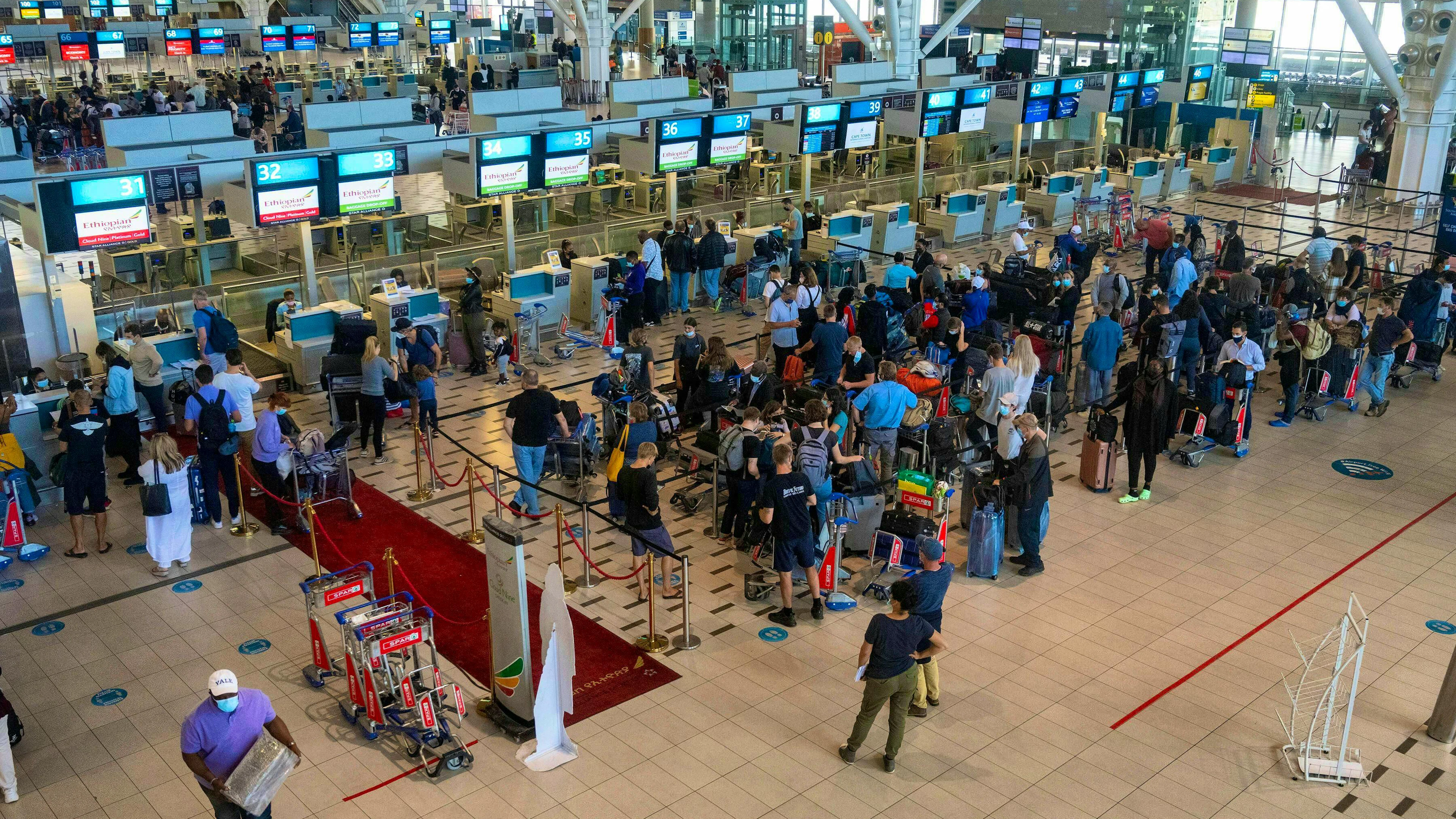 A man was caught at Cape Town Airport with 150 scorpions in his luggage.