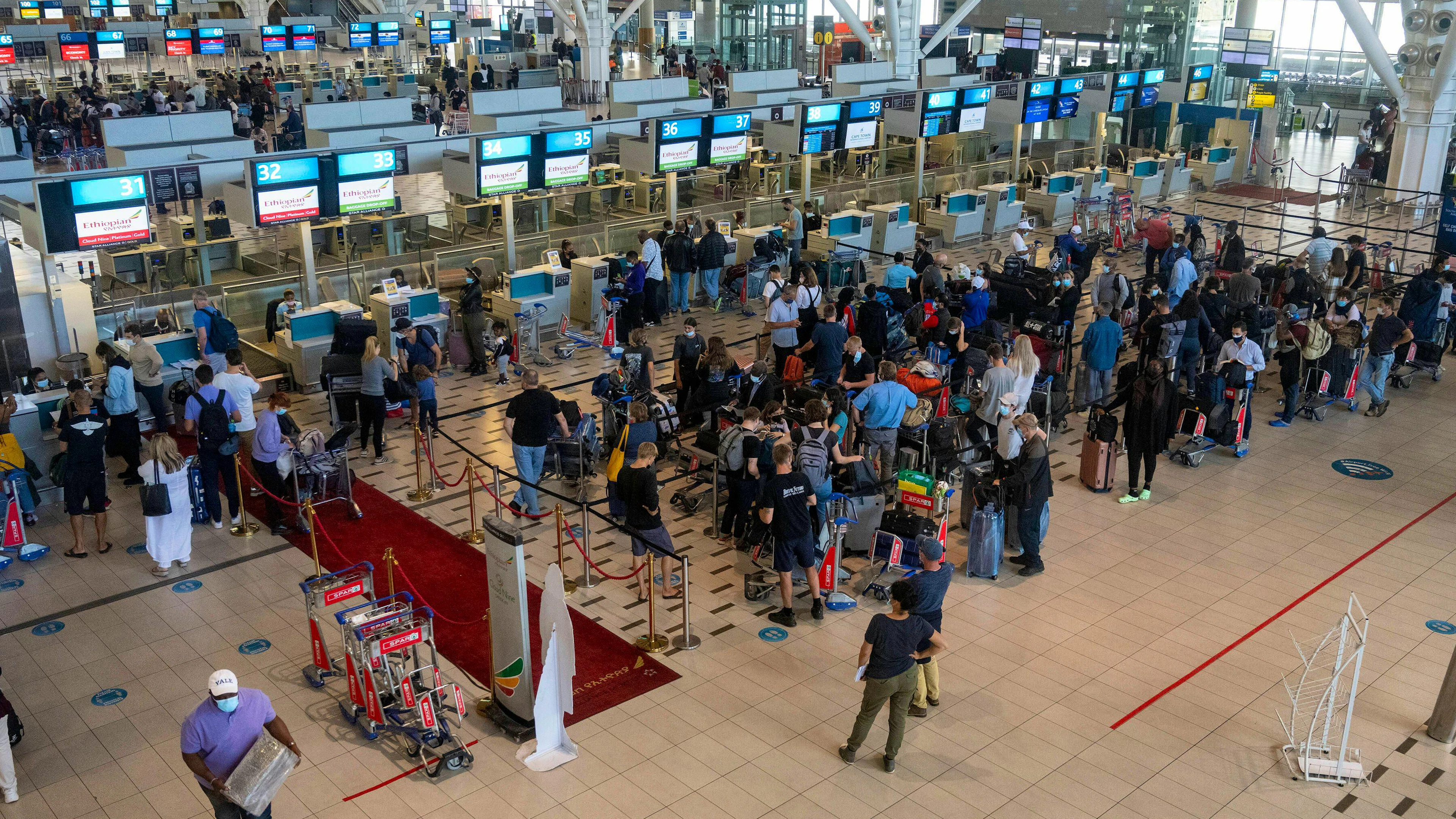Am Flughafen von Kapstadt ist ein Mann mit 150 Skorpionen im Gepäck aufgeflogen.