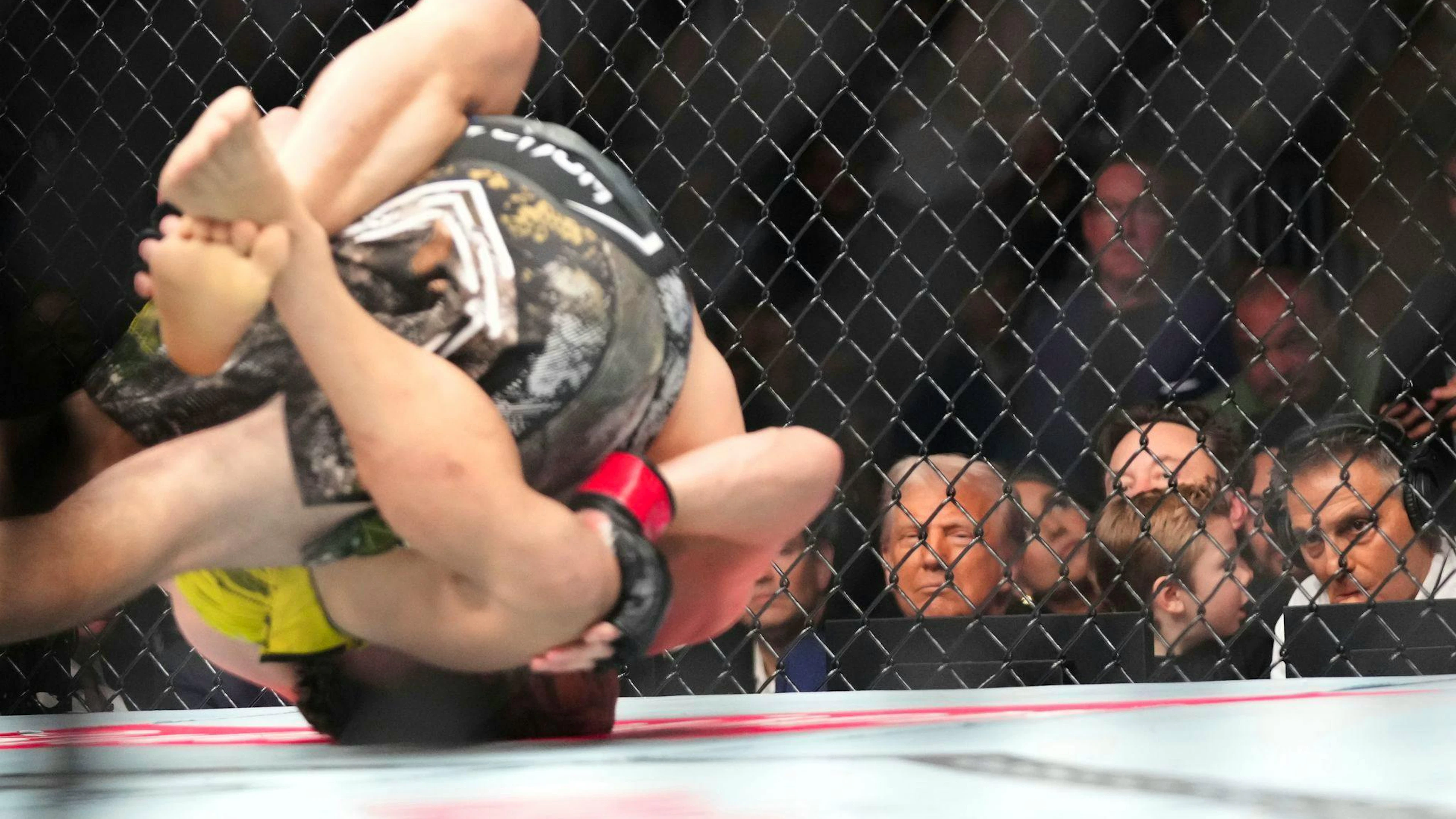 US-Präsident Donald Trump (Hintergrund Mitte), Elon Musk (r.) und sein Sohn X Æ A-Xii besuchen einen Mixed Martial Arts-Kampf bei UFC 314 Ultimate Fighting Championship in Miami. (Archiv)