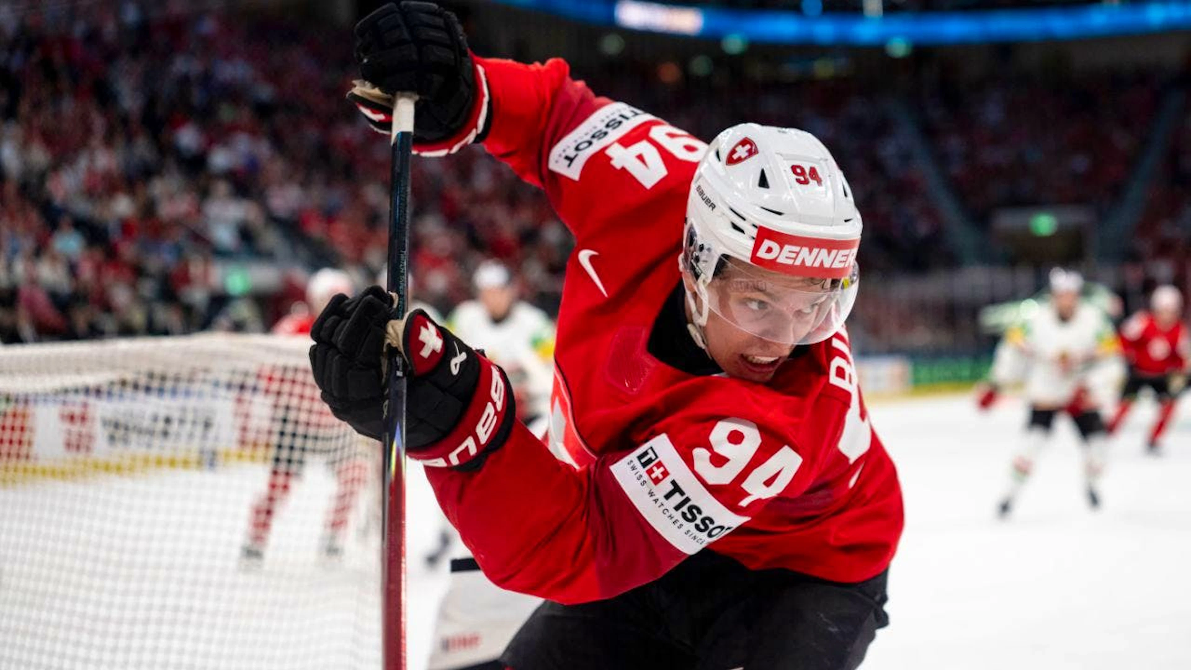 Biasca wechselt zu den Boston Bruins