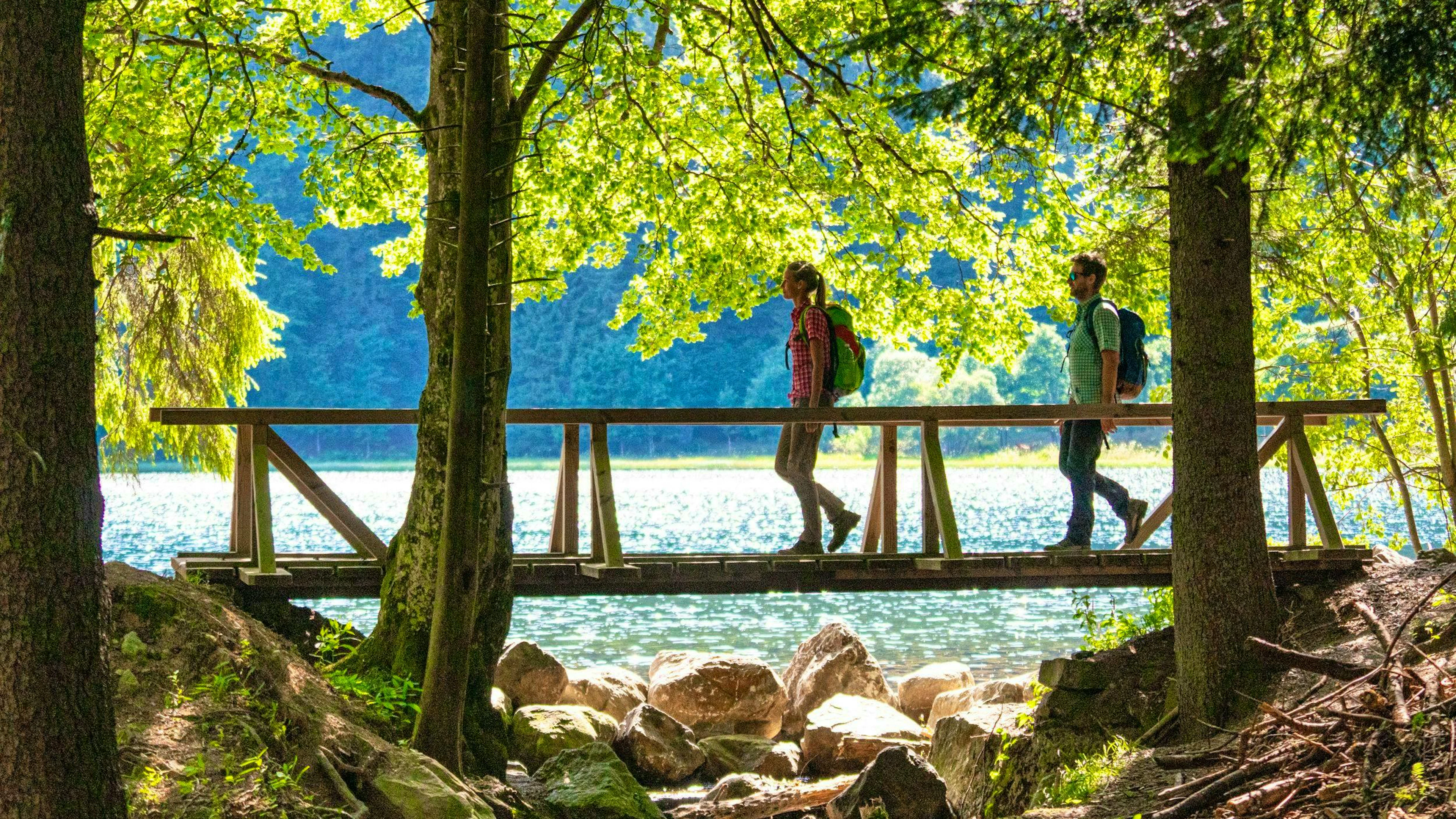 Le réseau des Sentiers gourmands de la Forêt-Noire invite à des randonnées pittoresques en pleine nature.