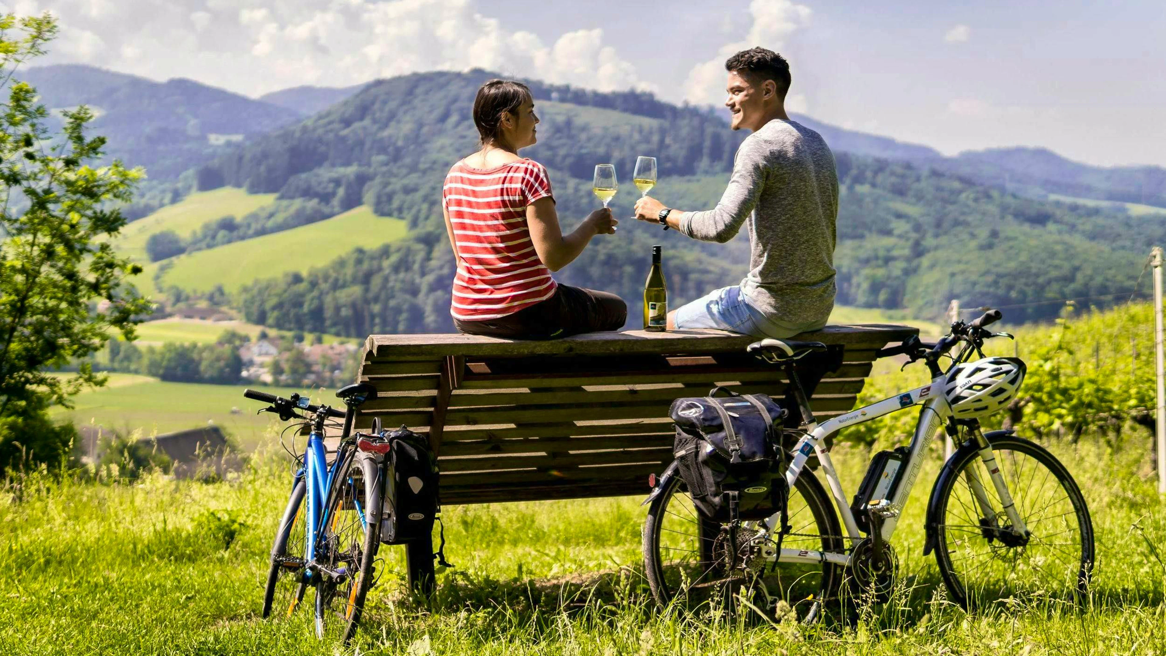 La Route des vins à vélo marie cyclotourisme et plaisirs œnologiques.