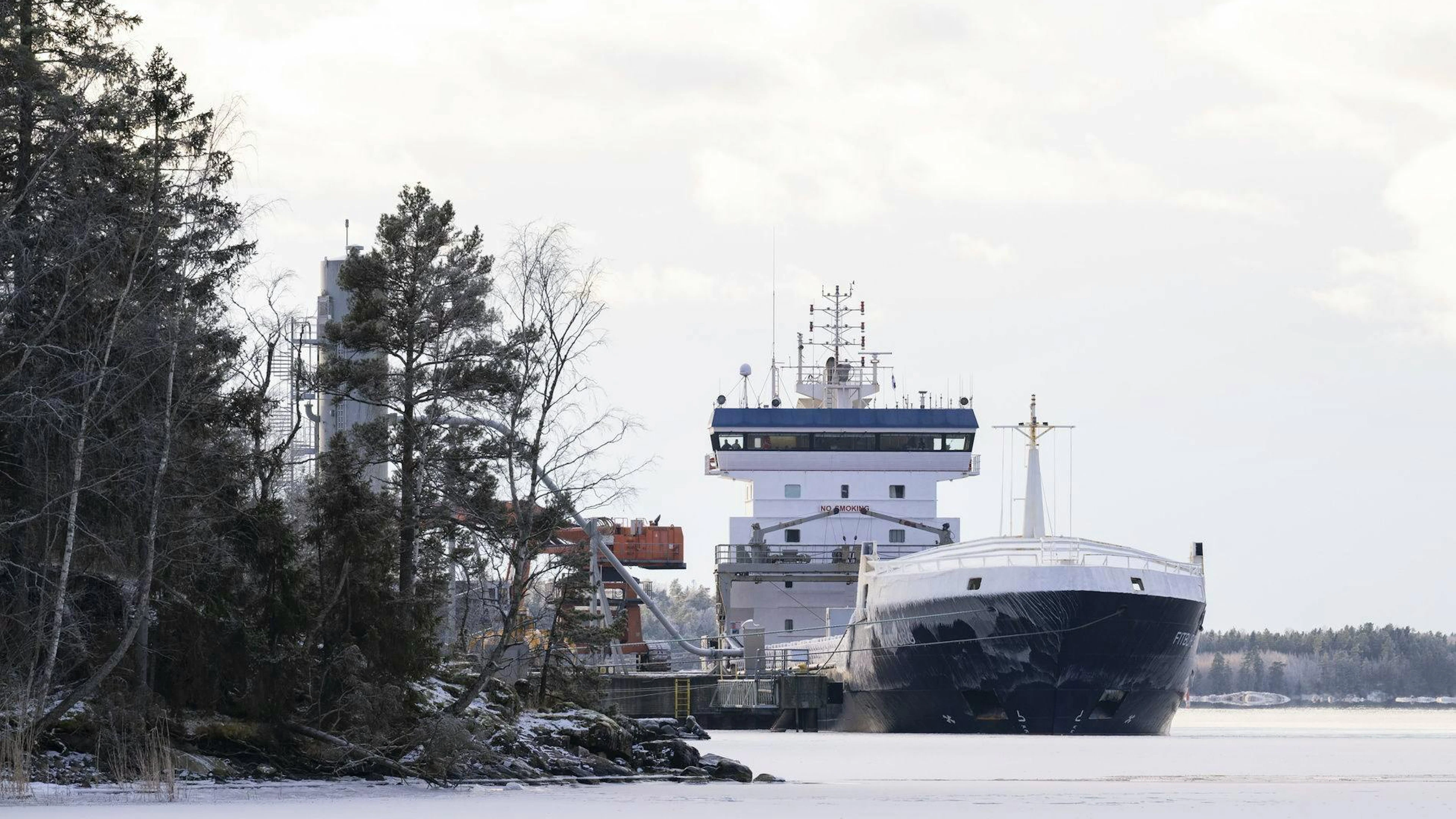 En route vers Israël depuis la Russie, le Fitburg, un cargo de 132 mètres de long, était arrêté le 31 décembre 2025 par les garde-côtes, suspecté d'avoir, avec son ancre, abîmé deux câbles télécoms dans le golfe de Finlande.