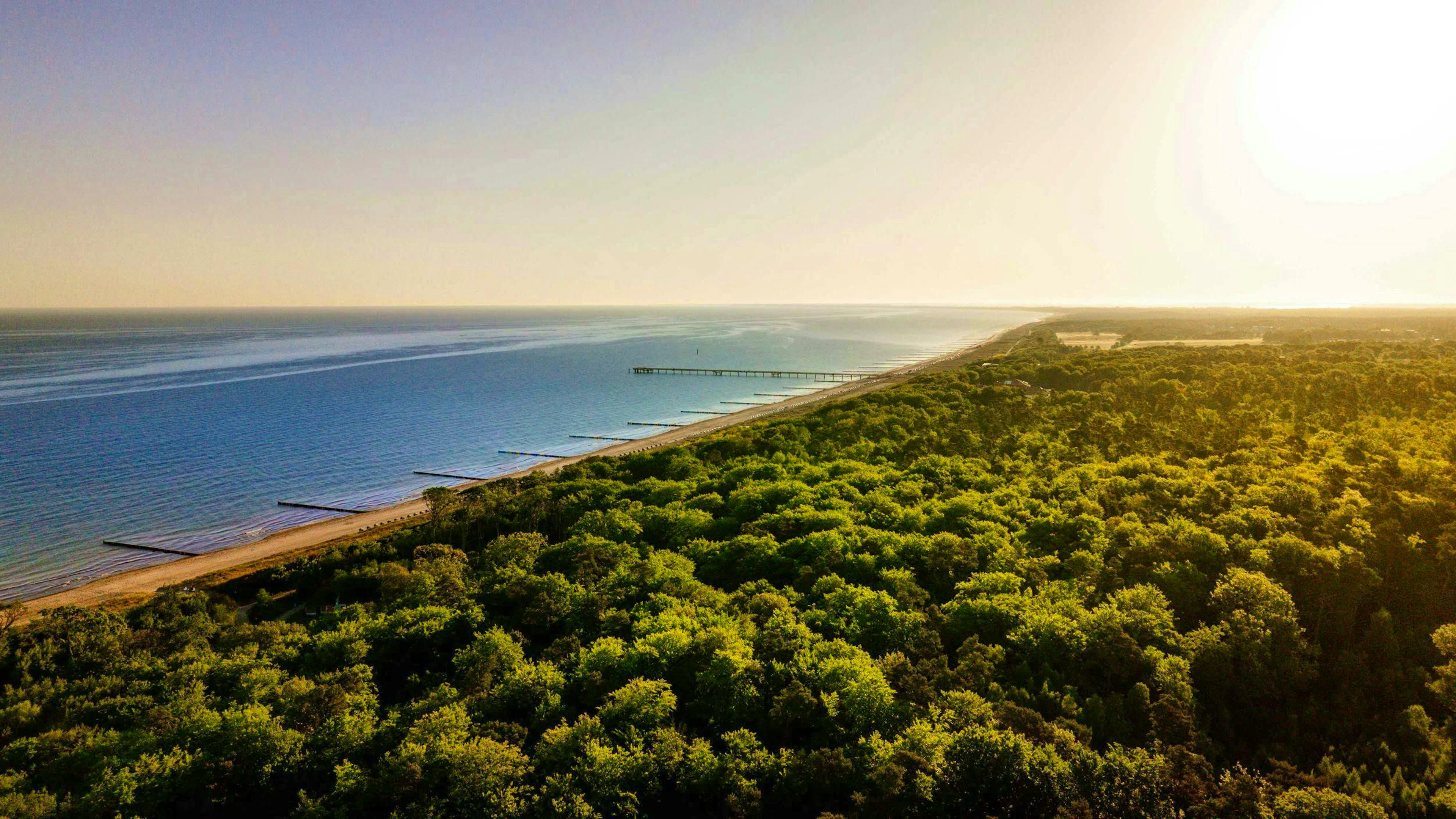 La mer et la forêt créent à Graal-Müritz un bioclimat particulièrement sain.