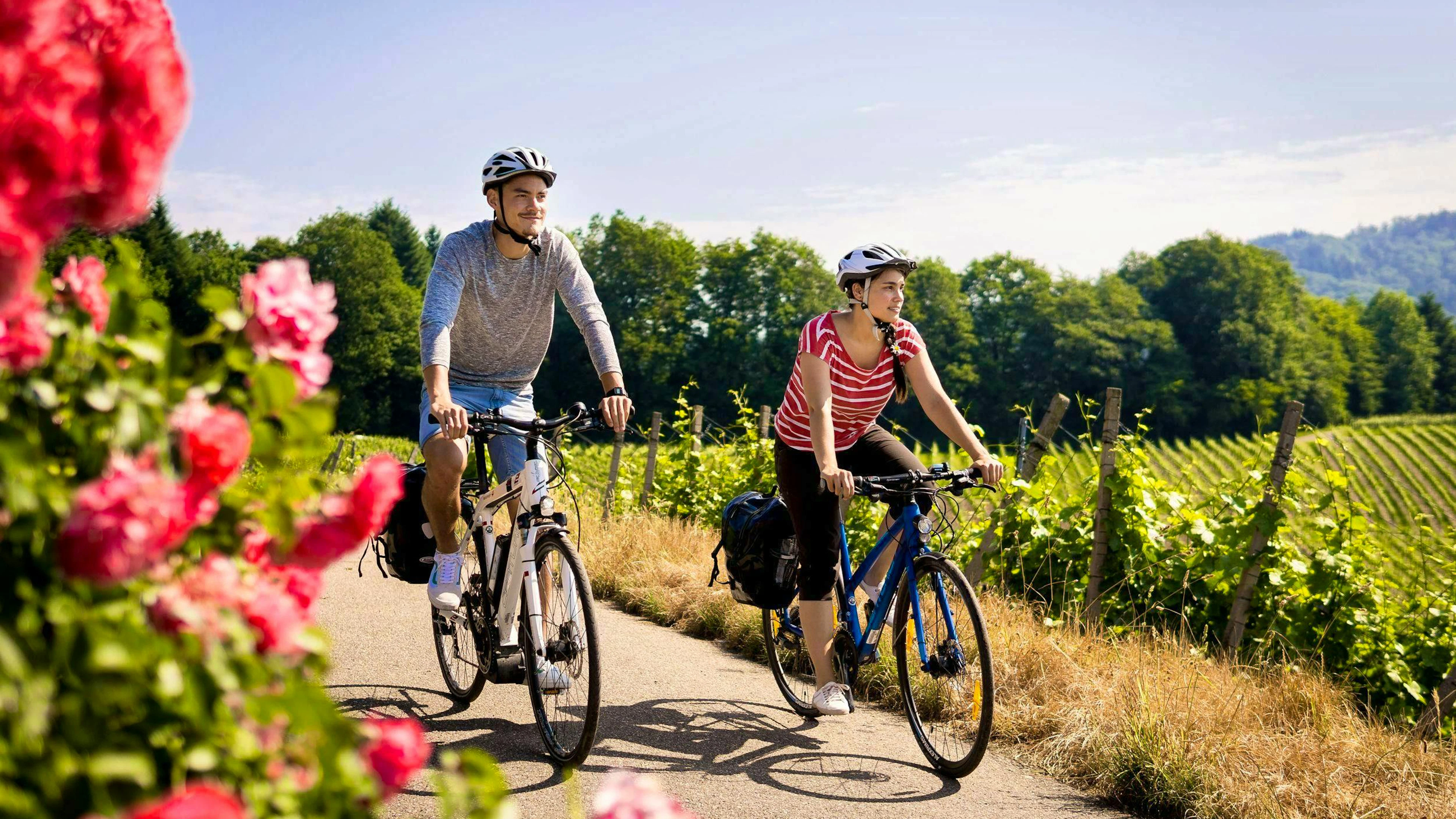 Le «Badischer Weinradweg» s’étend sur 460 kilomètres au total.