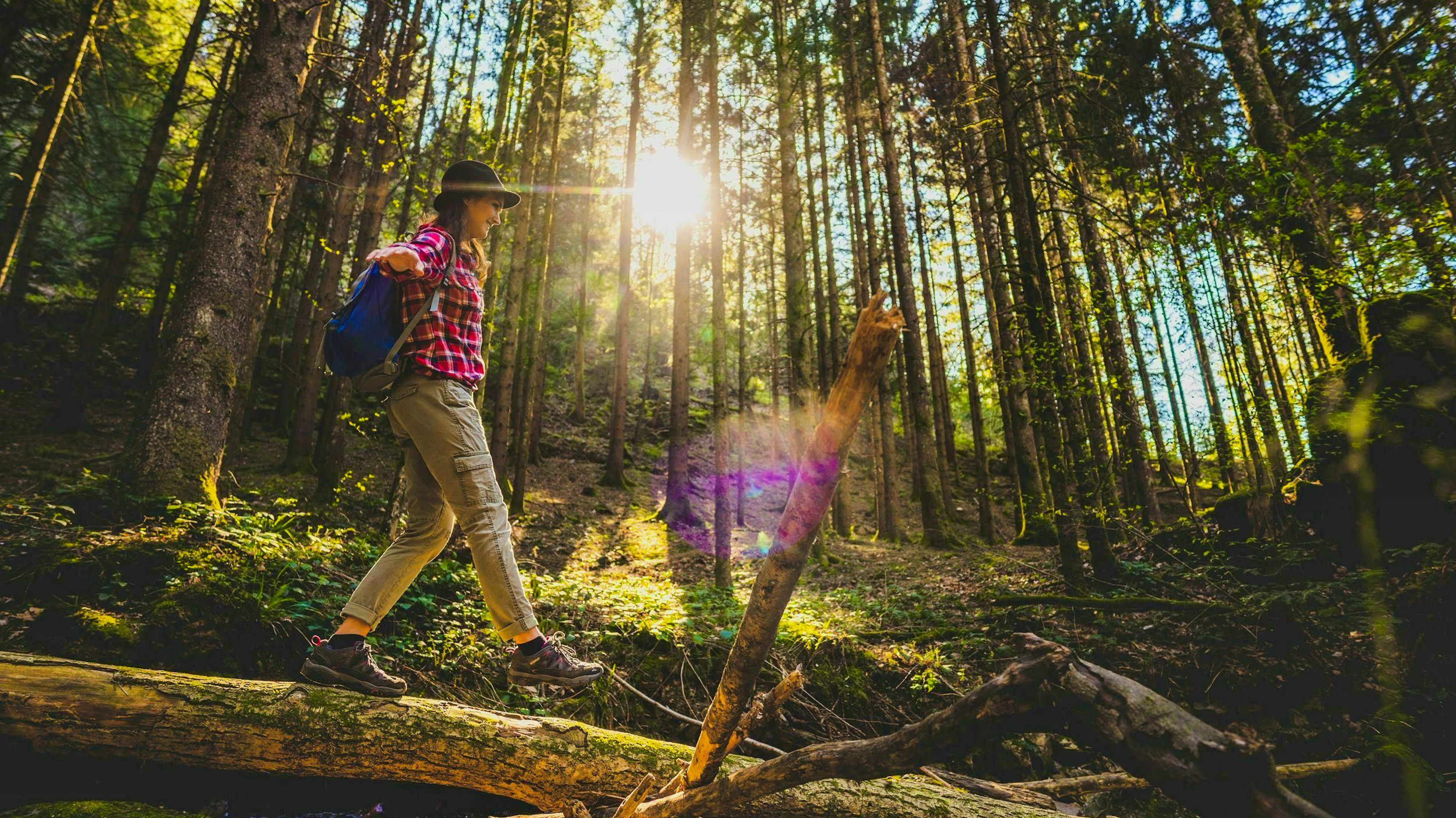 Les «Schwarzwälder Geniesserpfade» offrent un concentré de nature à chaque pas.