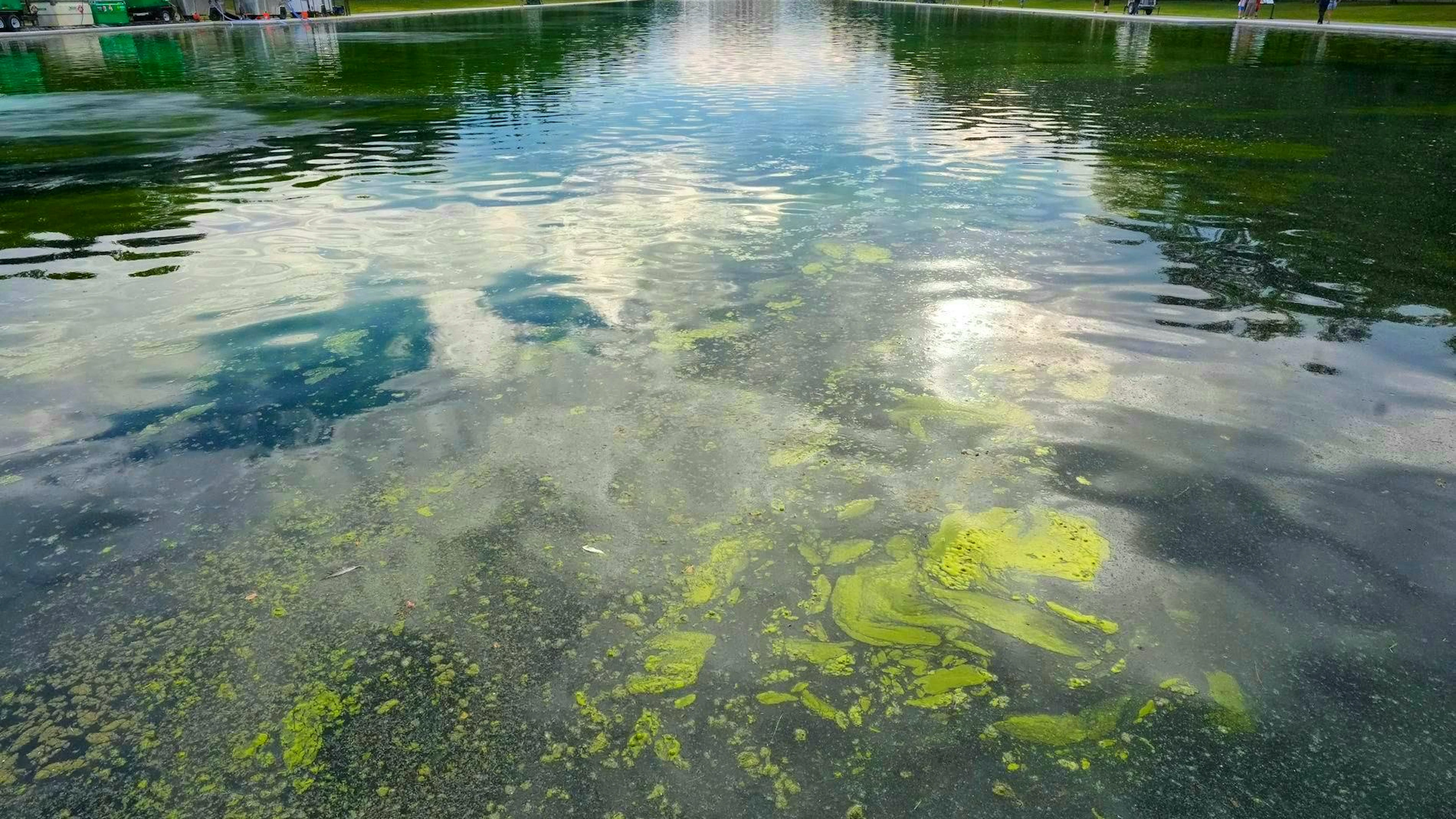 Green algae are discoloring the famous Reflecting Pool. 