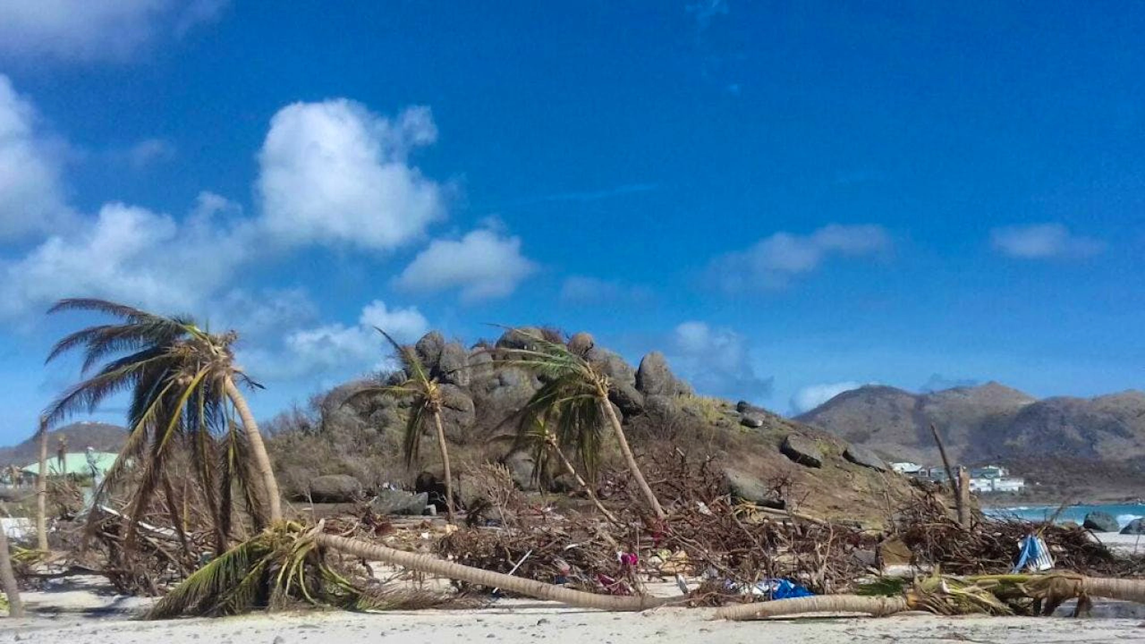 Le passage d'un ouragan a détruit la plage et les palmiers à Saint Martin (Septembre 2017).