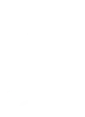 Calcio