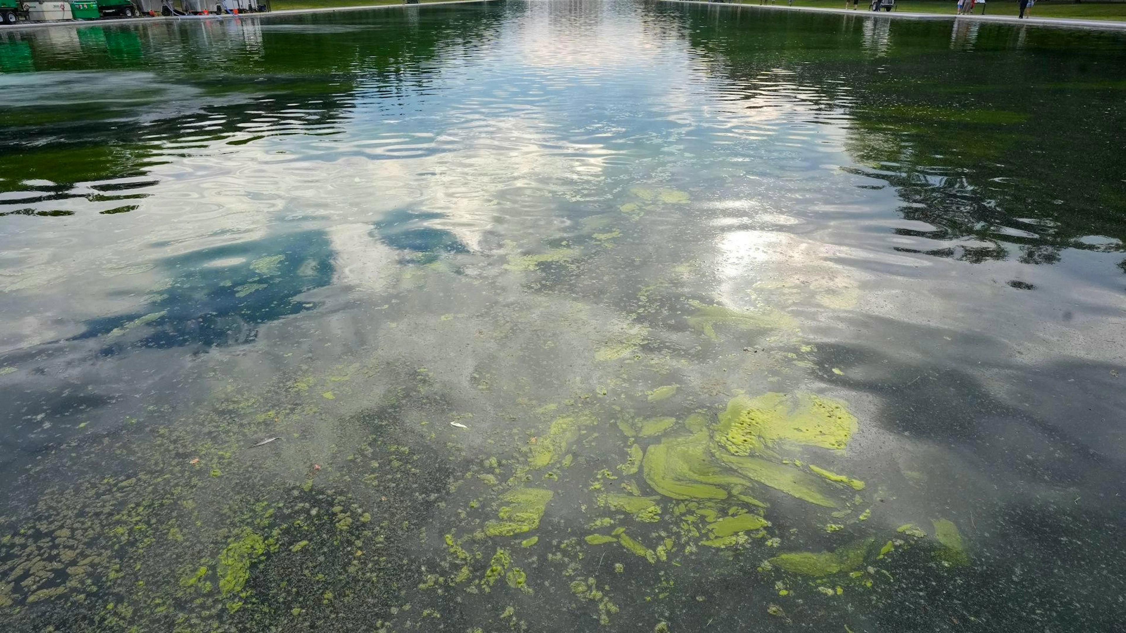 Grünalgen verfärben den berühtem Reflecting Pool. 