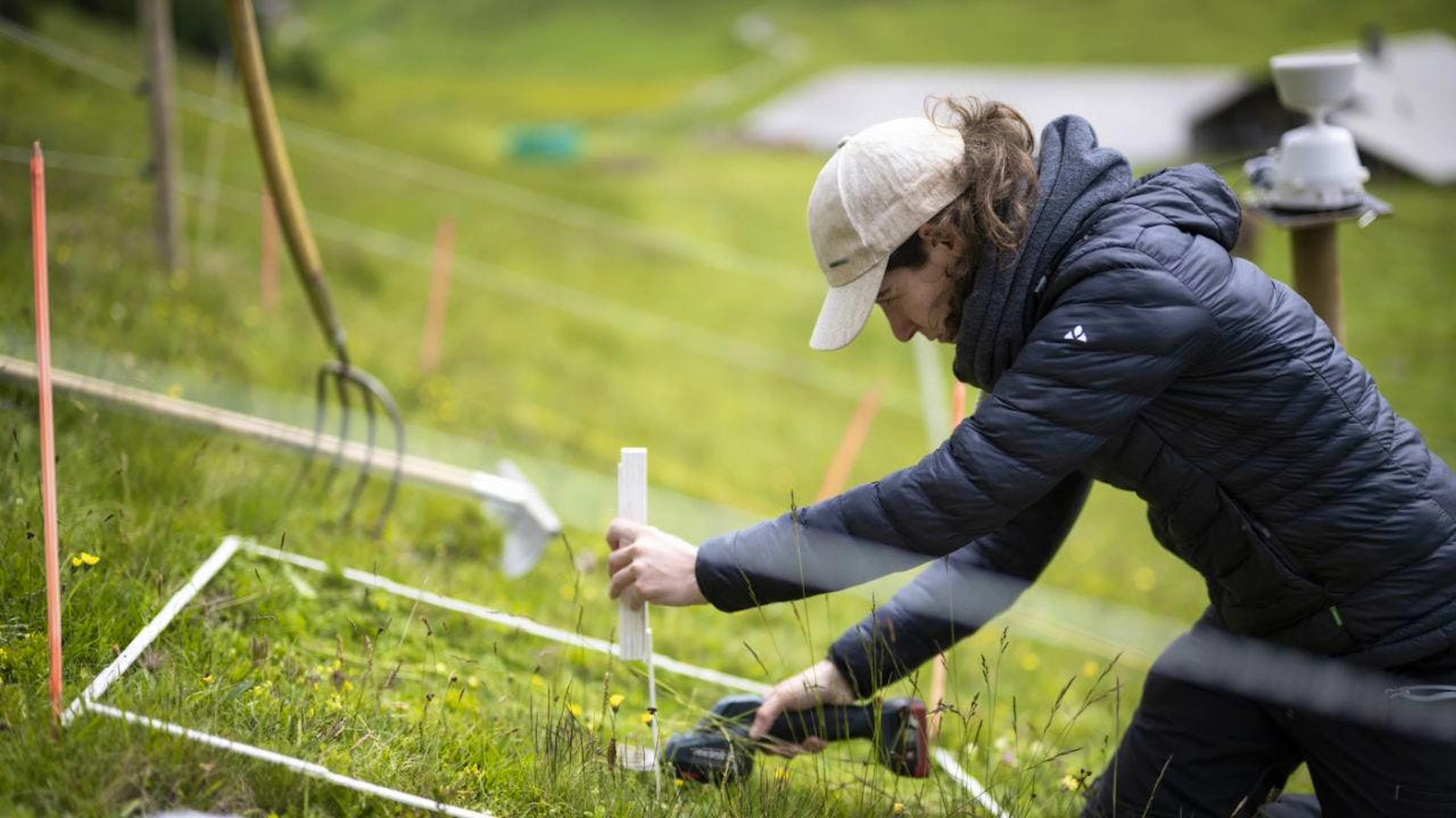 Das Forschungsinstitut für den Schweizer Landwirtschafts- und Lebensmittelsektor Agroscope muss sparen und streicht deshalb 58 Stellen. Das landwirtschaftliche Forschungszentrum des Bundes reagiert damit auf ein Defizit von 10 Millionen Franken. (Archiv)