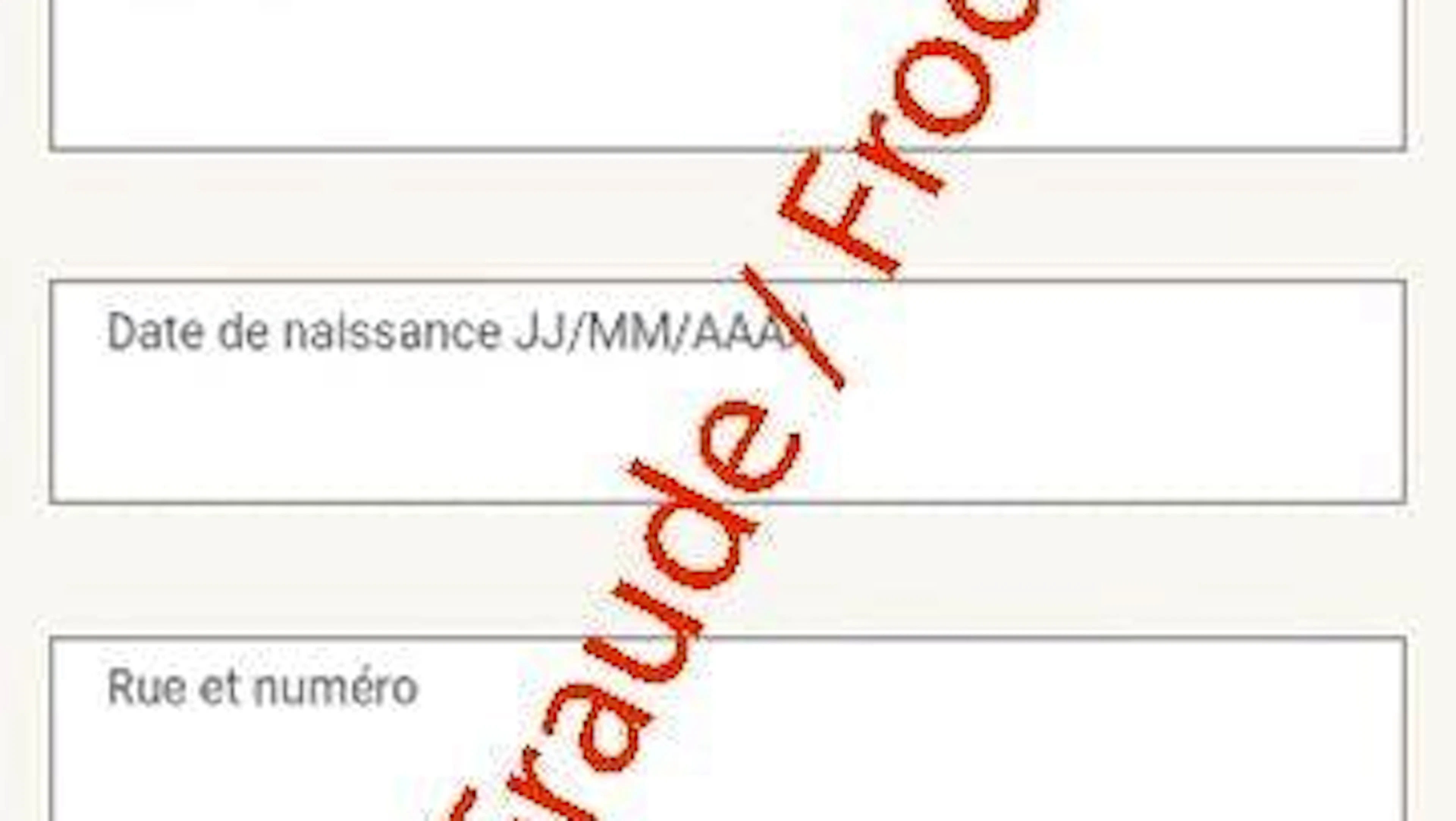 De nombreuses informations, telles que la date de naissance, sont demandées.