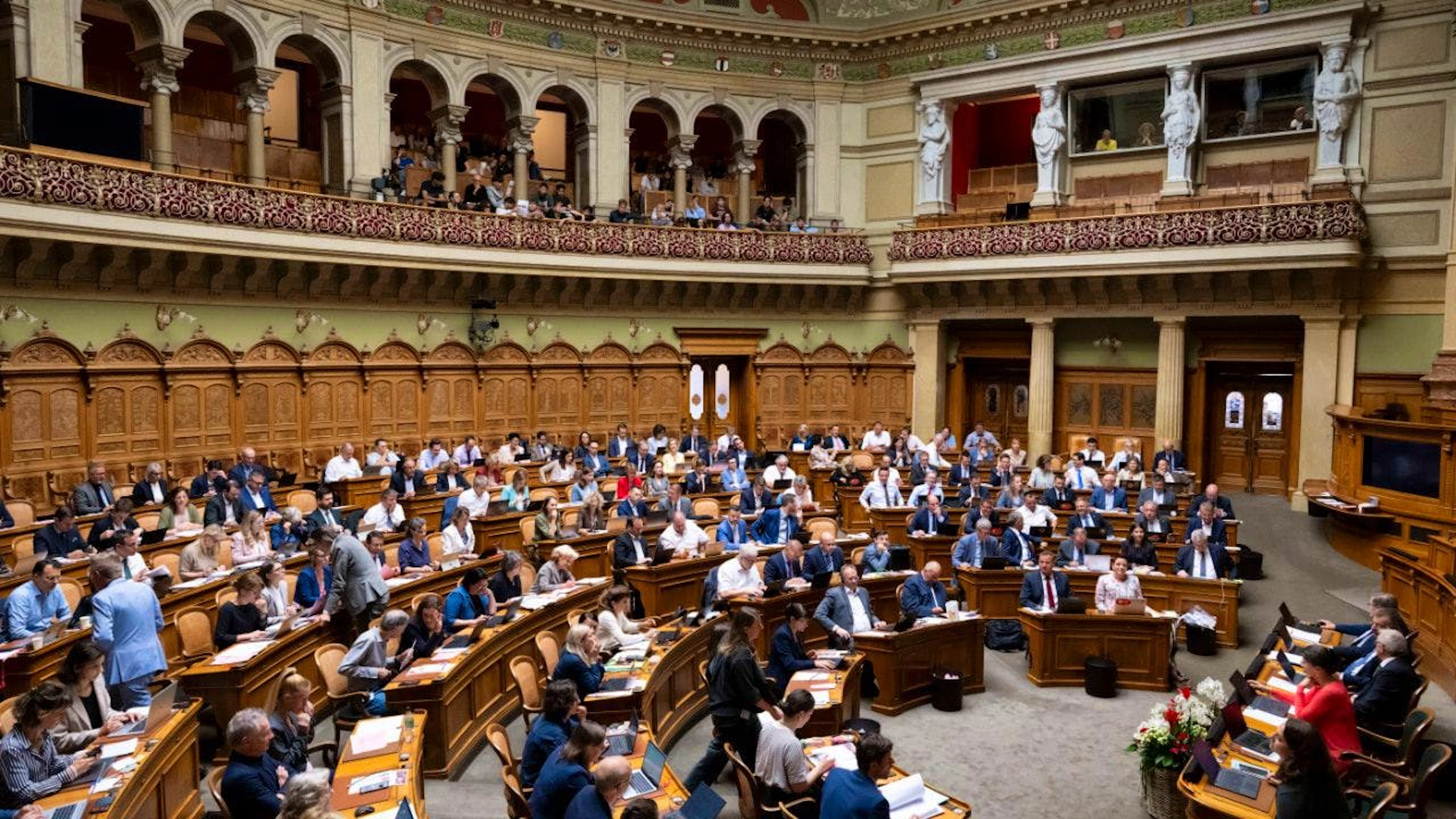 Il Consiglio nazionale intende prolungare tale eccezione fino alla fine del 2032