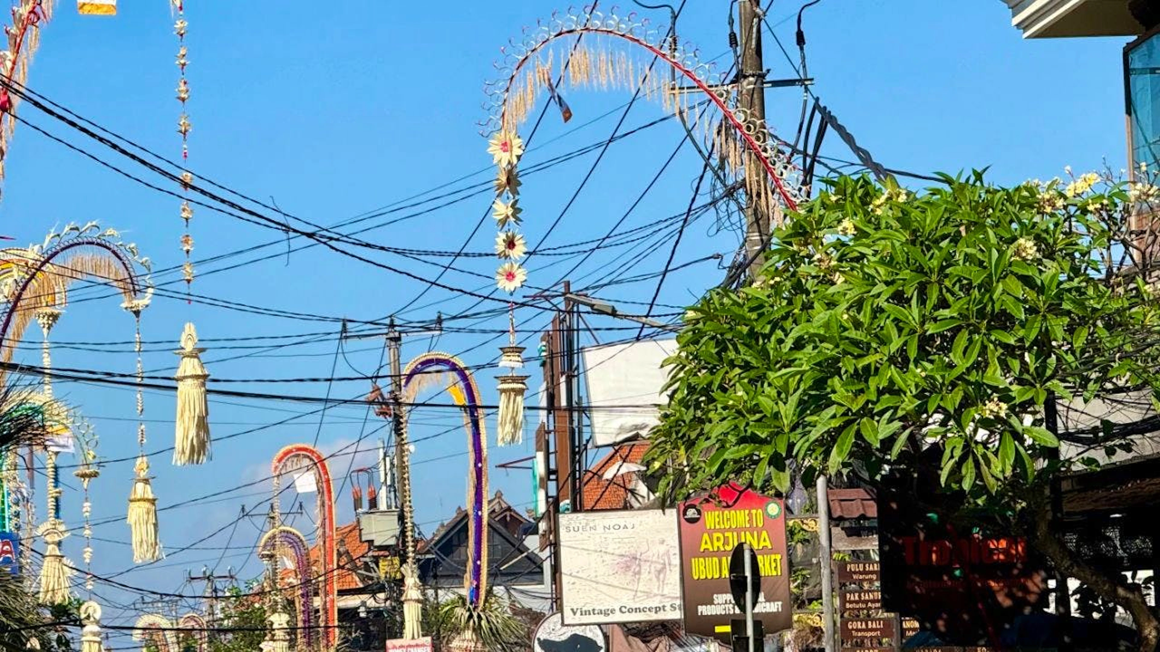 Vor Häusern, Geschäften und Tempeln sind im Ort Ubud die charakteristischen Penjor aufgestellt – mehrere Meter hohe, geschwungene Bambusstangen, die mit Palmblättern und anderen Naturmaterialien geschmückt sind. Foto: Carola Frentzen/dpa