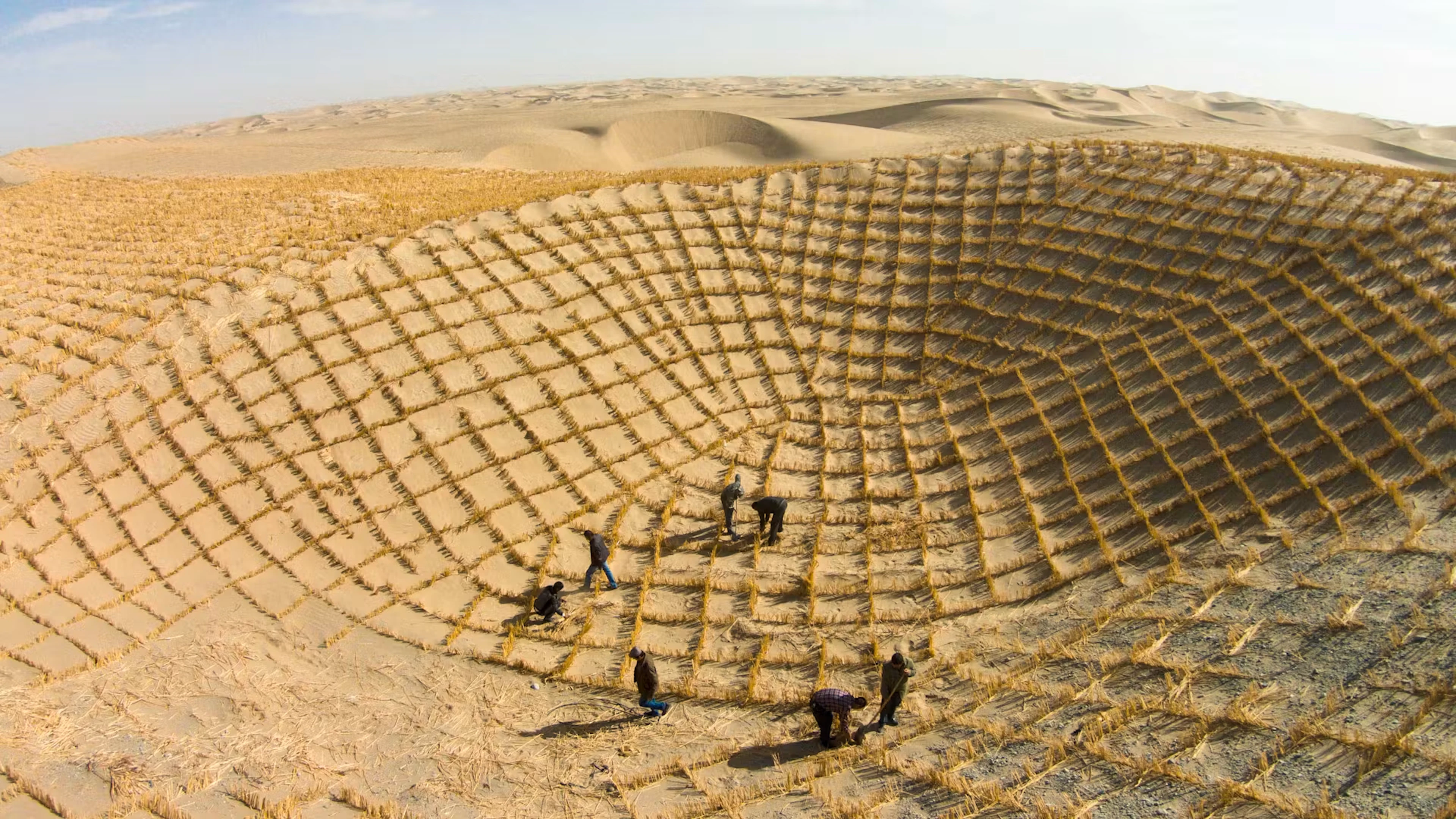 So wollen sich China und Afrika vor dem Sand retten
