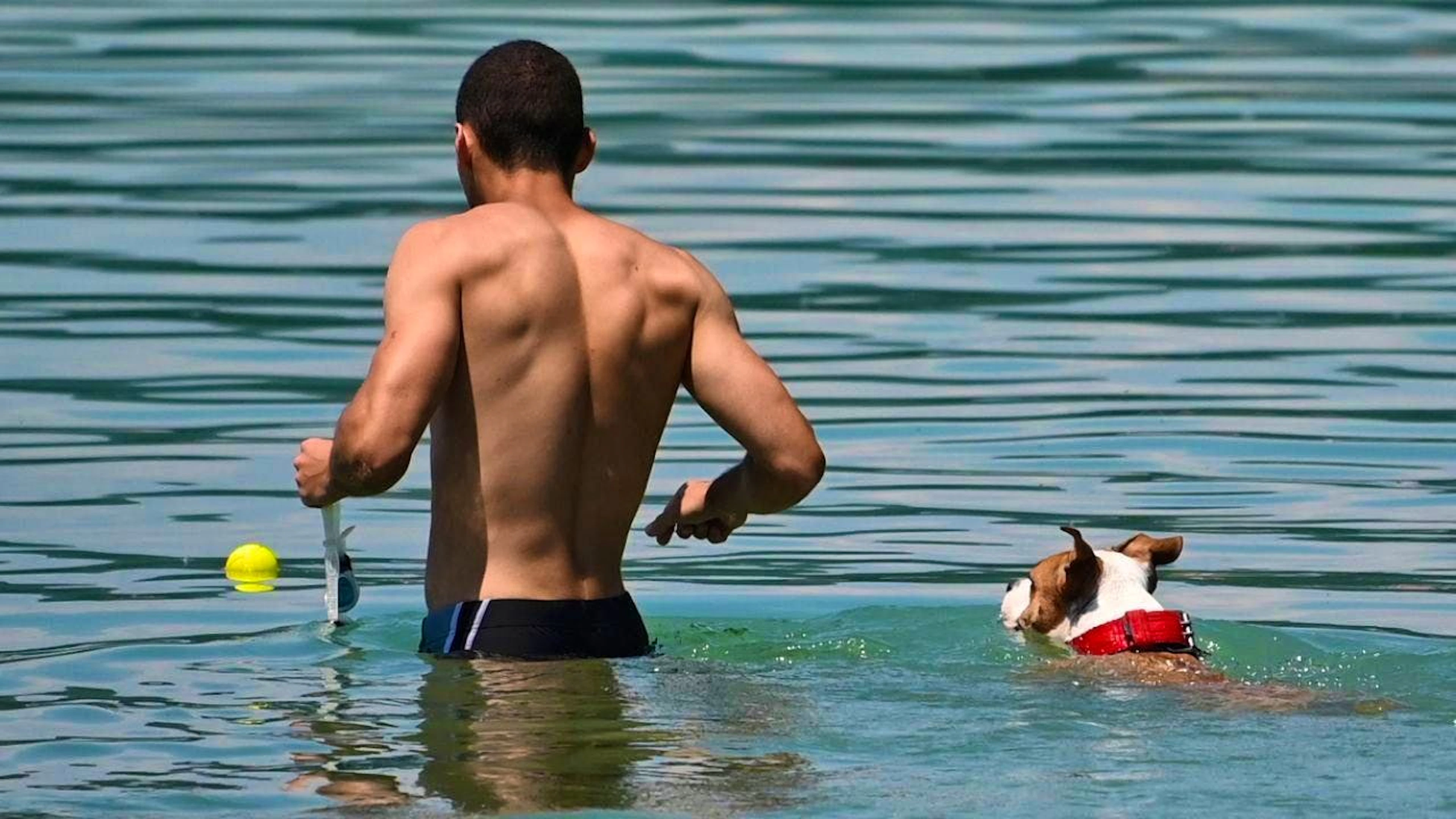 During the current heat wave, only a dip in the water offers relief. However, not all bodies of water are cool anymore. (File photo)