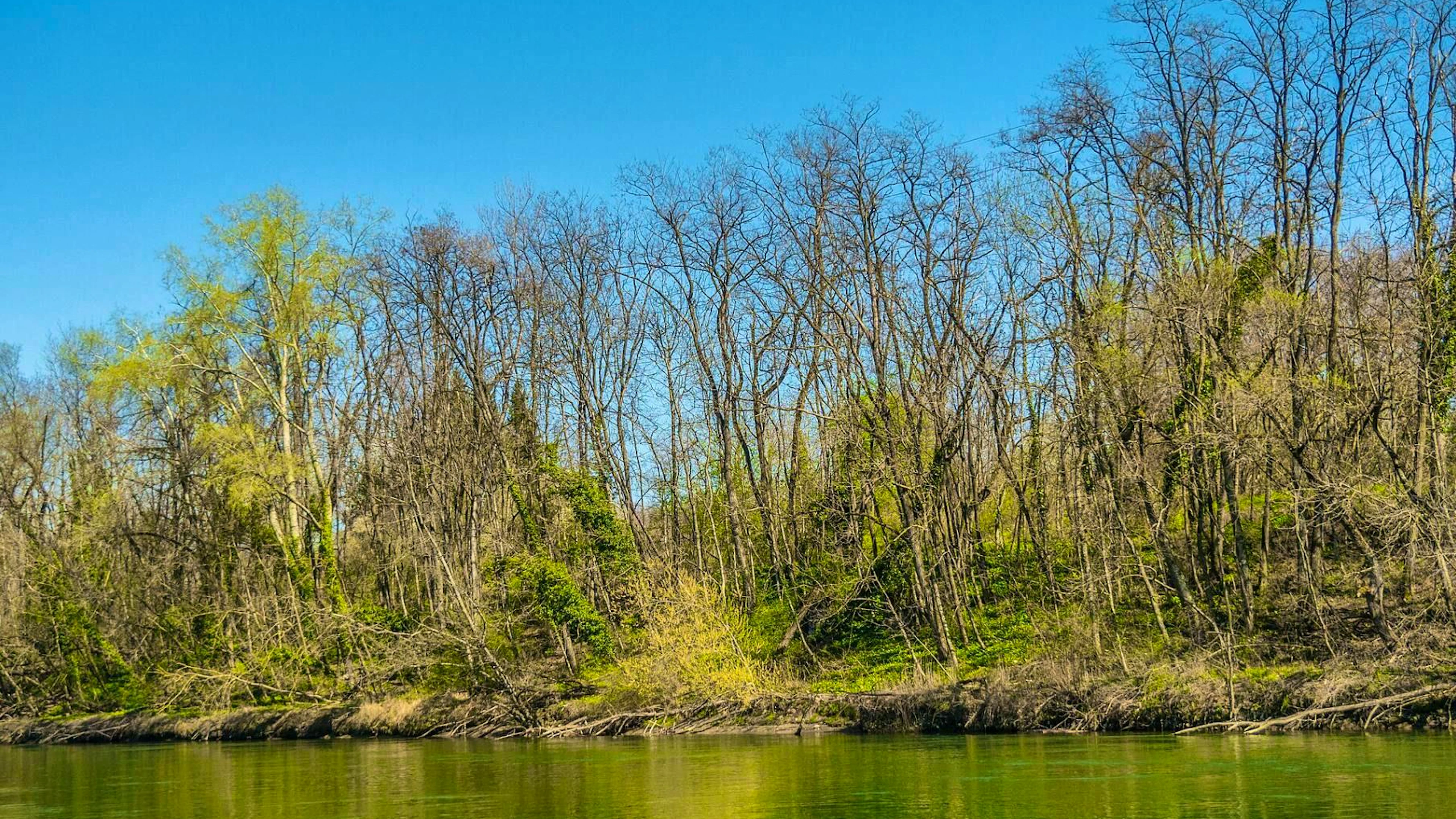 Zurlinden Island is an artificial river island on the Aare