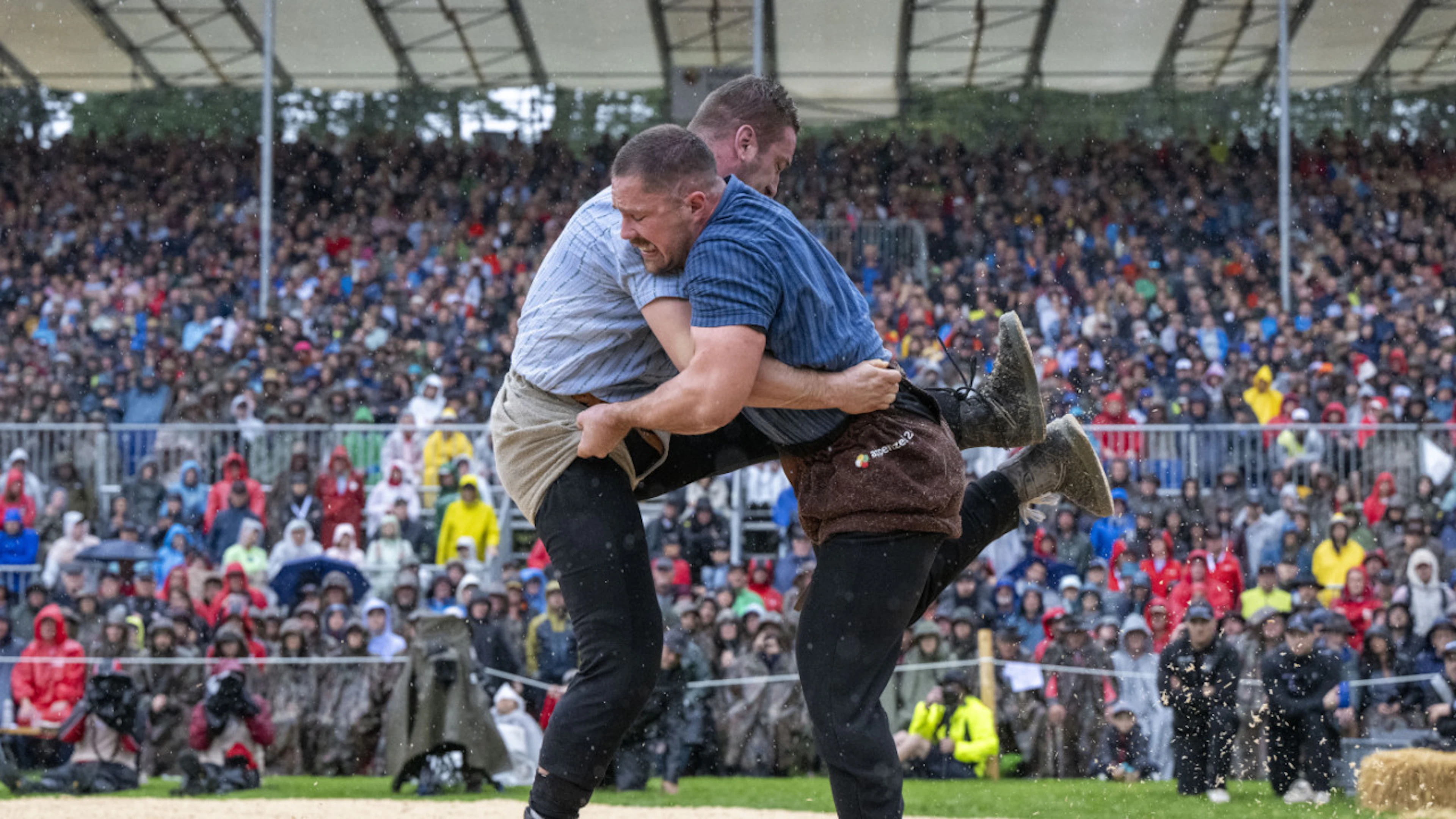 Nordostschweizer Schwingfest startet mit Orlik gegen Staudenmann