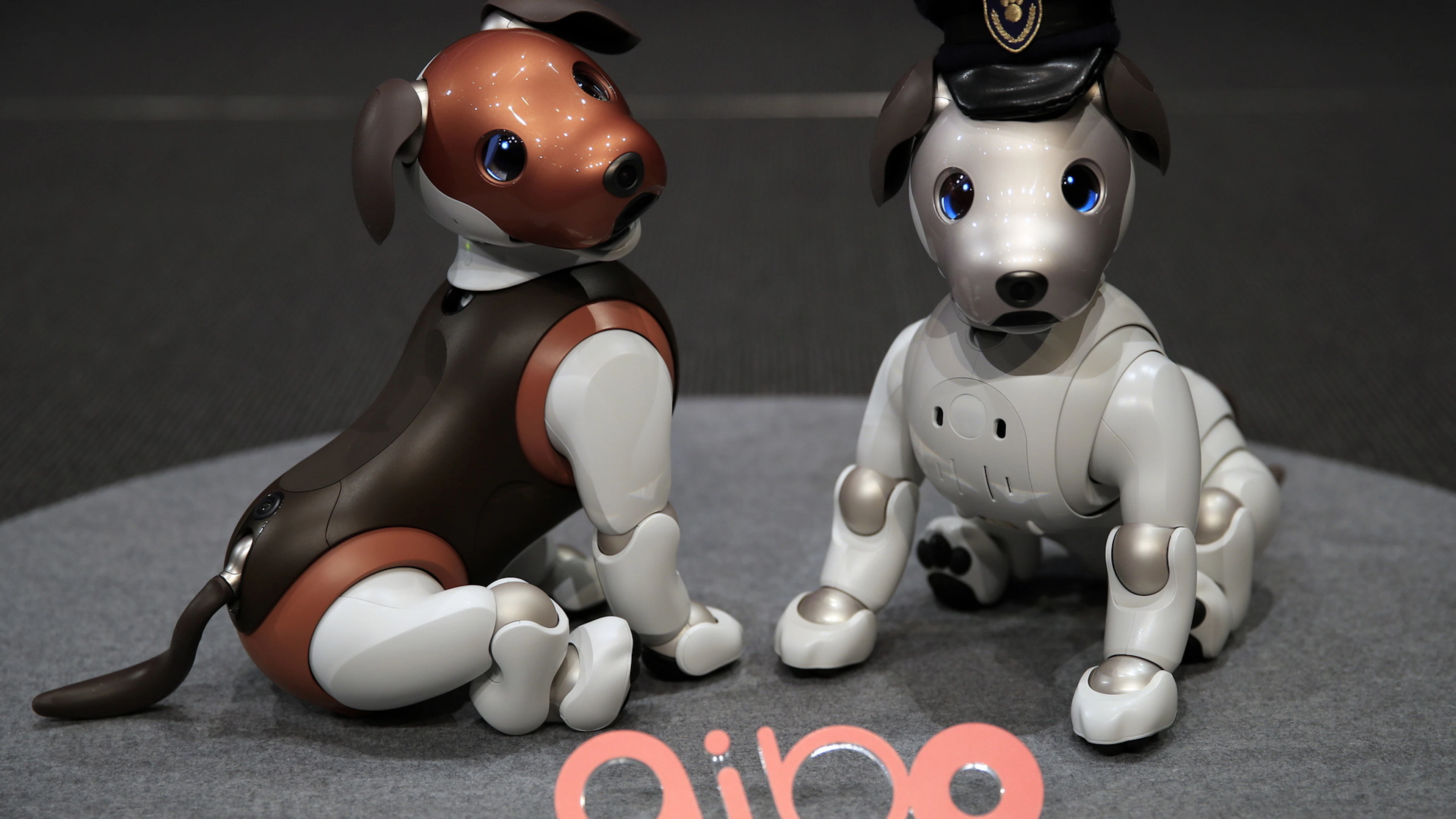 Sony arrête la vente de son chien robot «aibo» au Japon