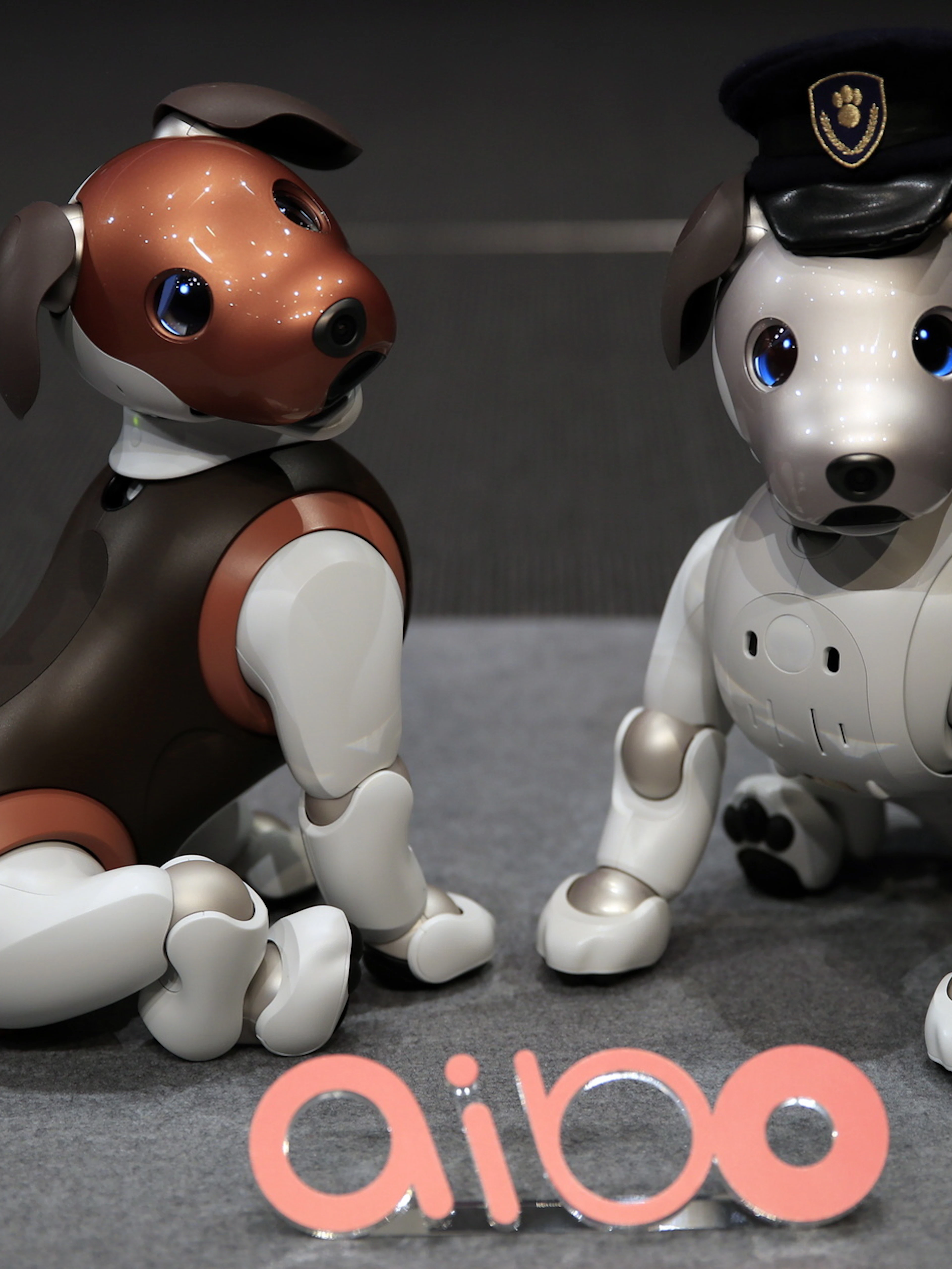 Sony arrête la vente de son chien robot «aibo» au Japon