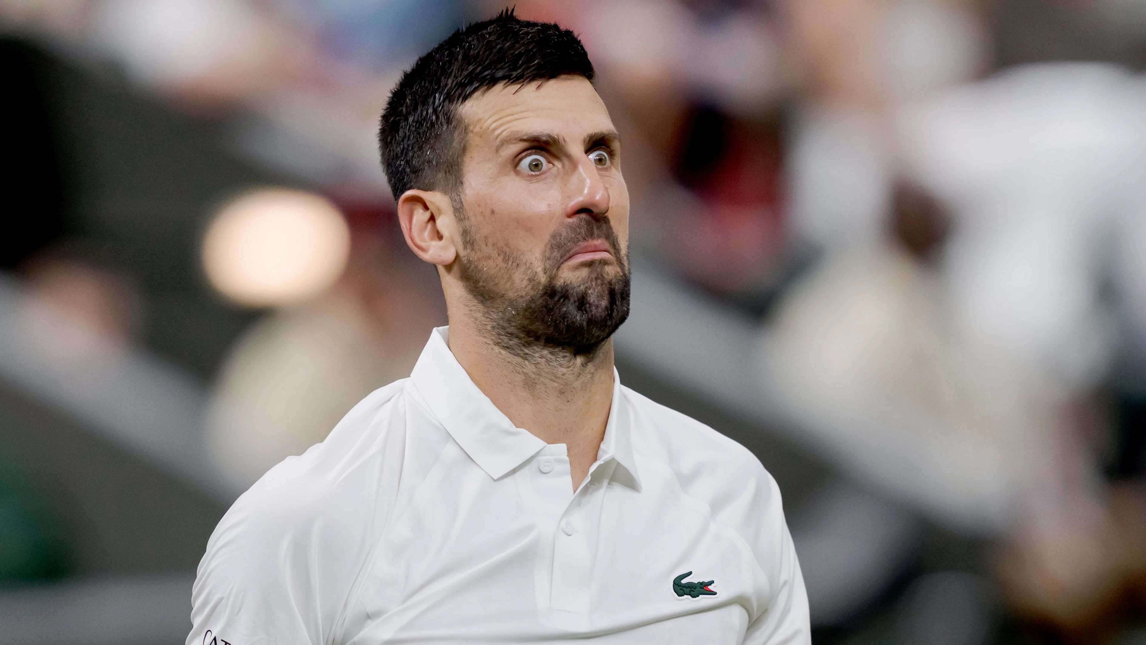 Novak Djokovic a lancé un plaidoyer en faveur d'une meilleure protection de la santé des joueurs.