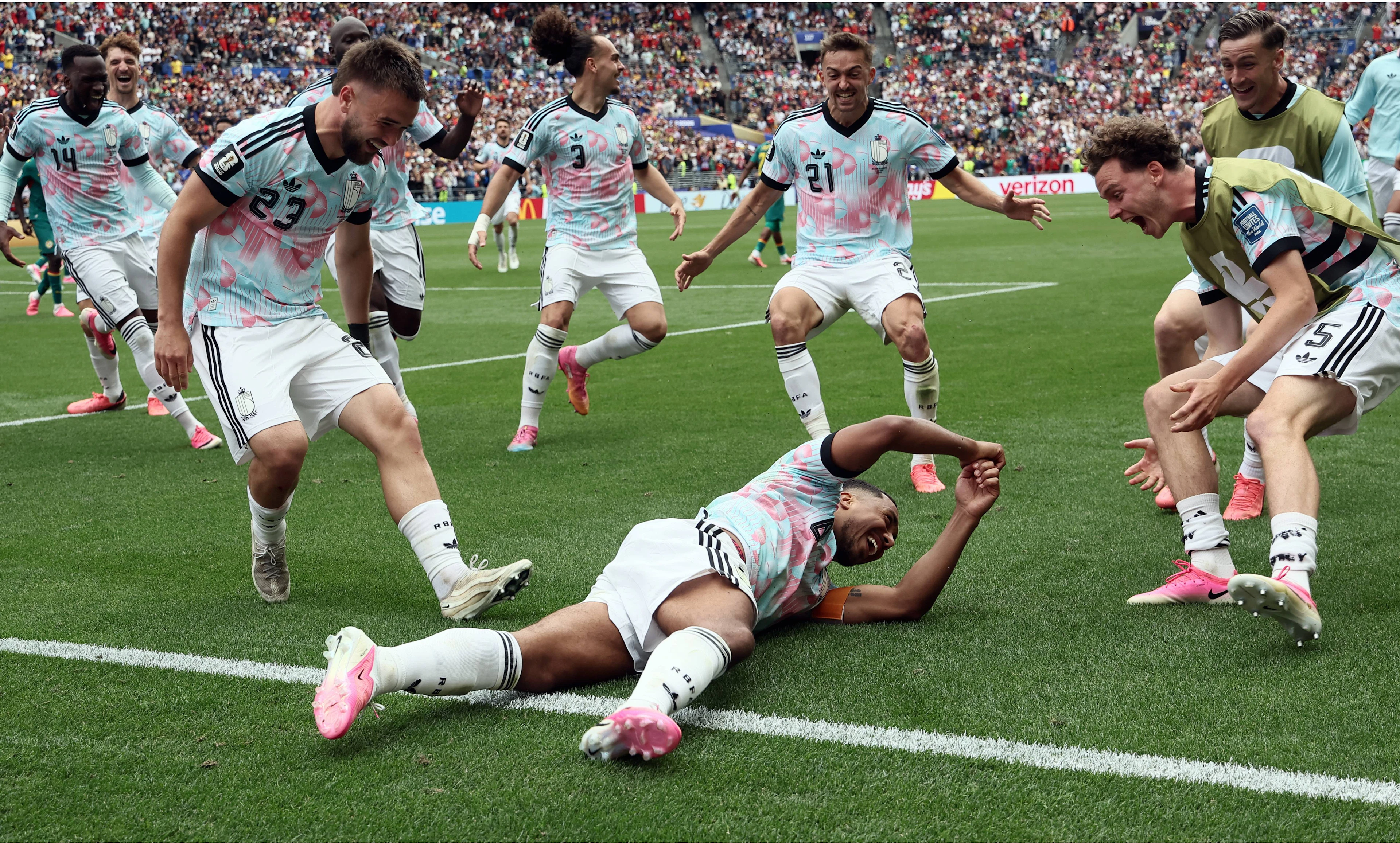 Ekstase bei Belgien nach dem späten Siegtreffer durch Tielemans.