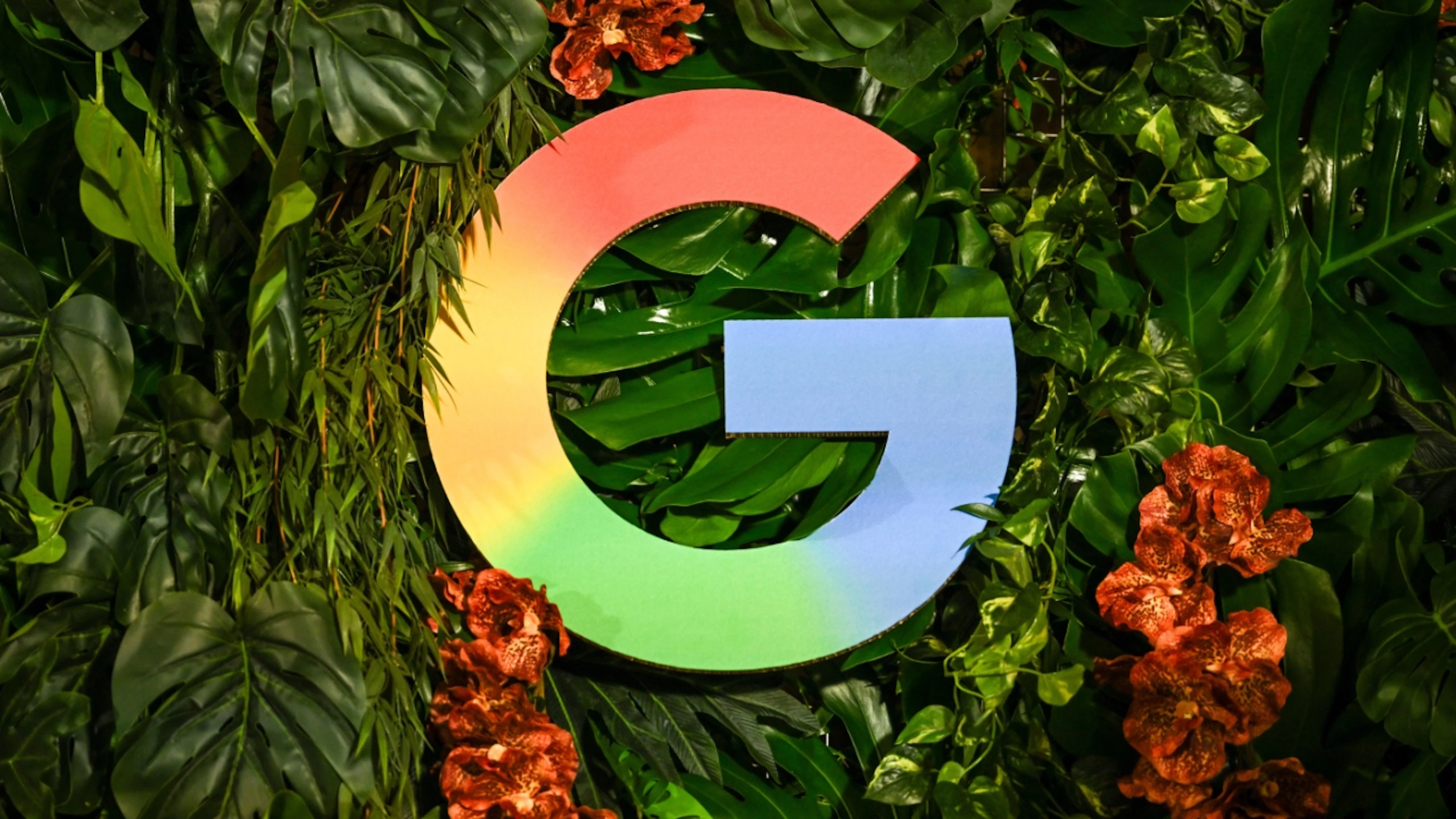 The Weko has launched a preliminary investigation into U.S. internet giant Google regarding search engines.