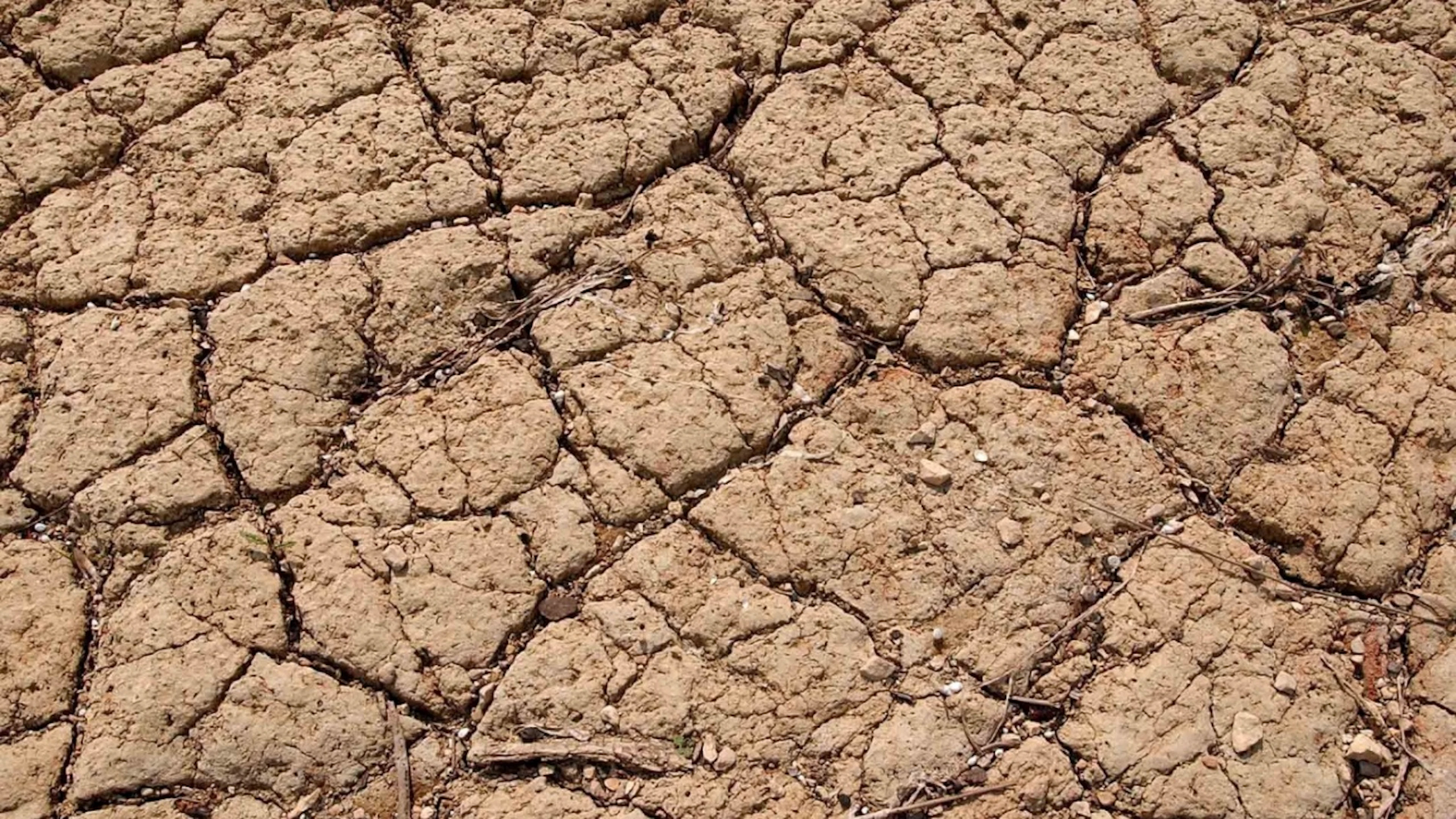 Francia, dopo i morti della settimana scorsa gli esperti reclamano una legge di «emergenza climatica»