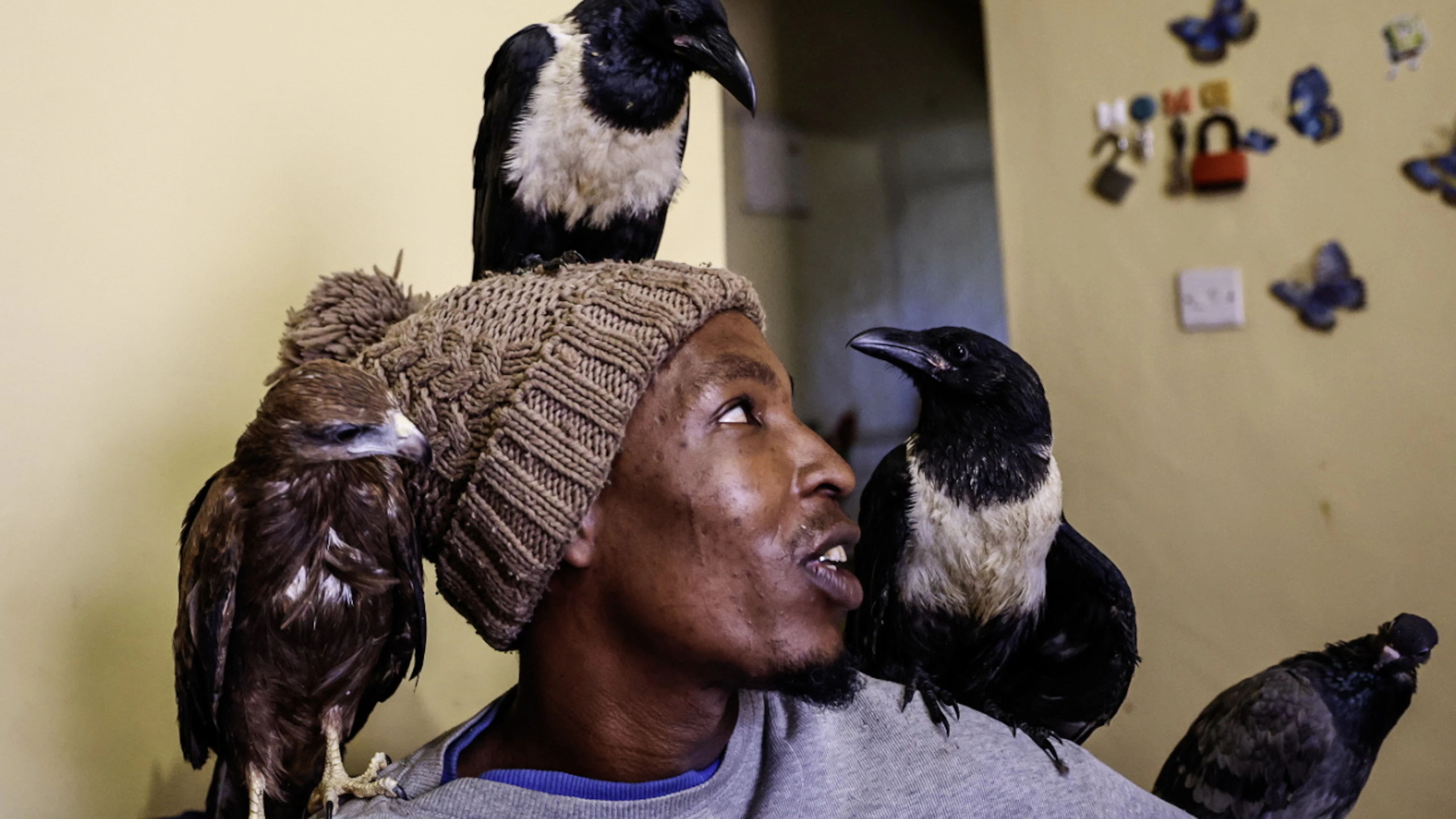 «Quand je vivais dans la rue», les oiseaux et moi «mangions ensemble, dormions ensemble dans le froid et rien ne m'est arrivé», raconte-t-il à l'AFP. (archives)